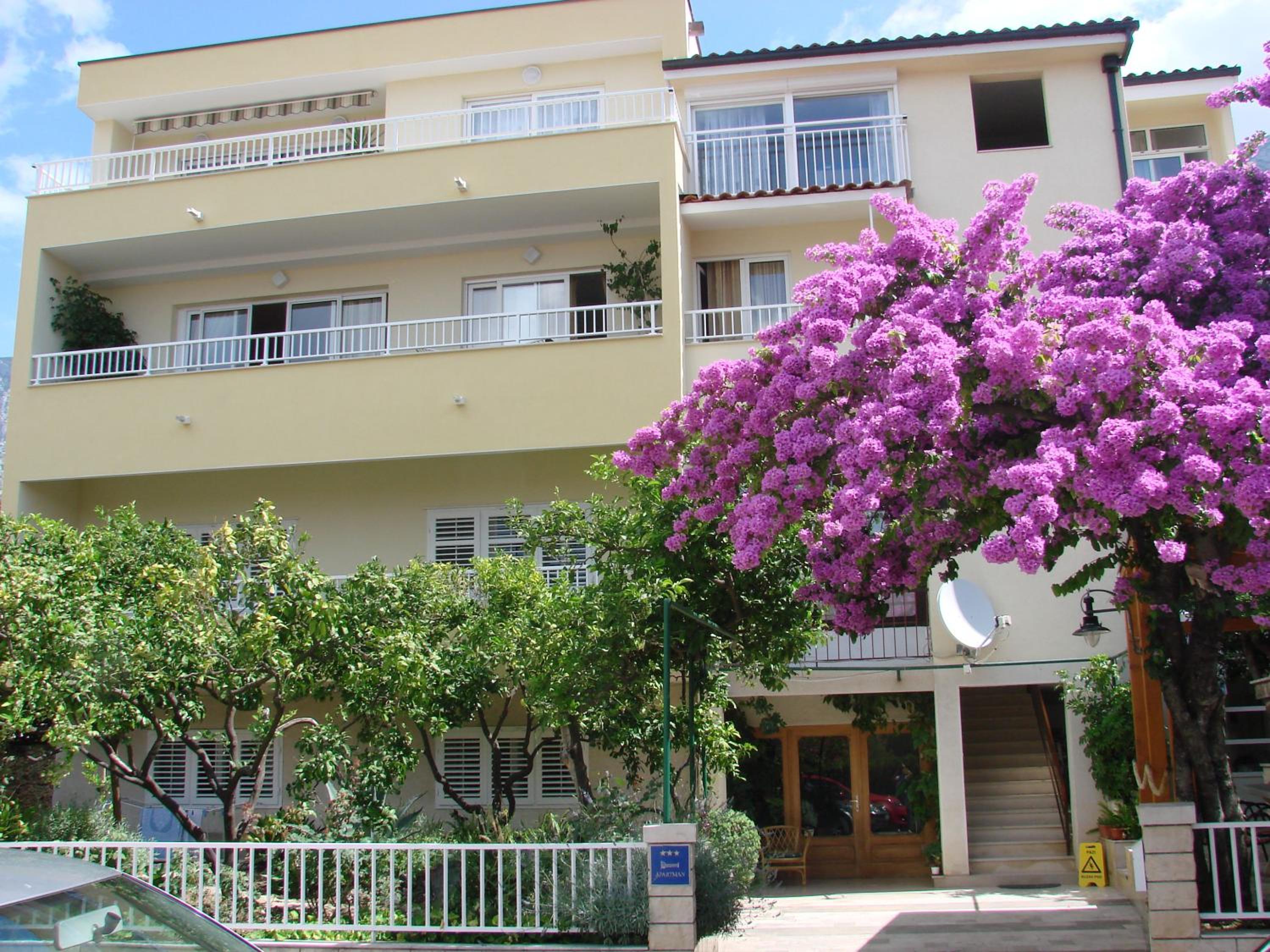 Apartment Letica
