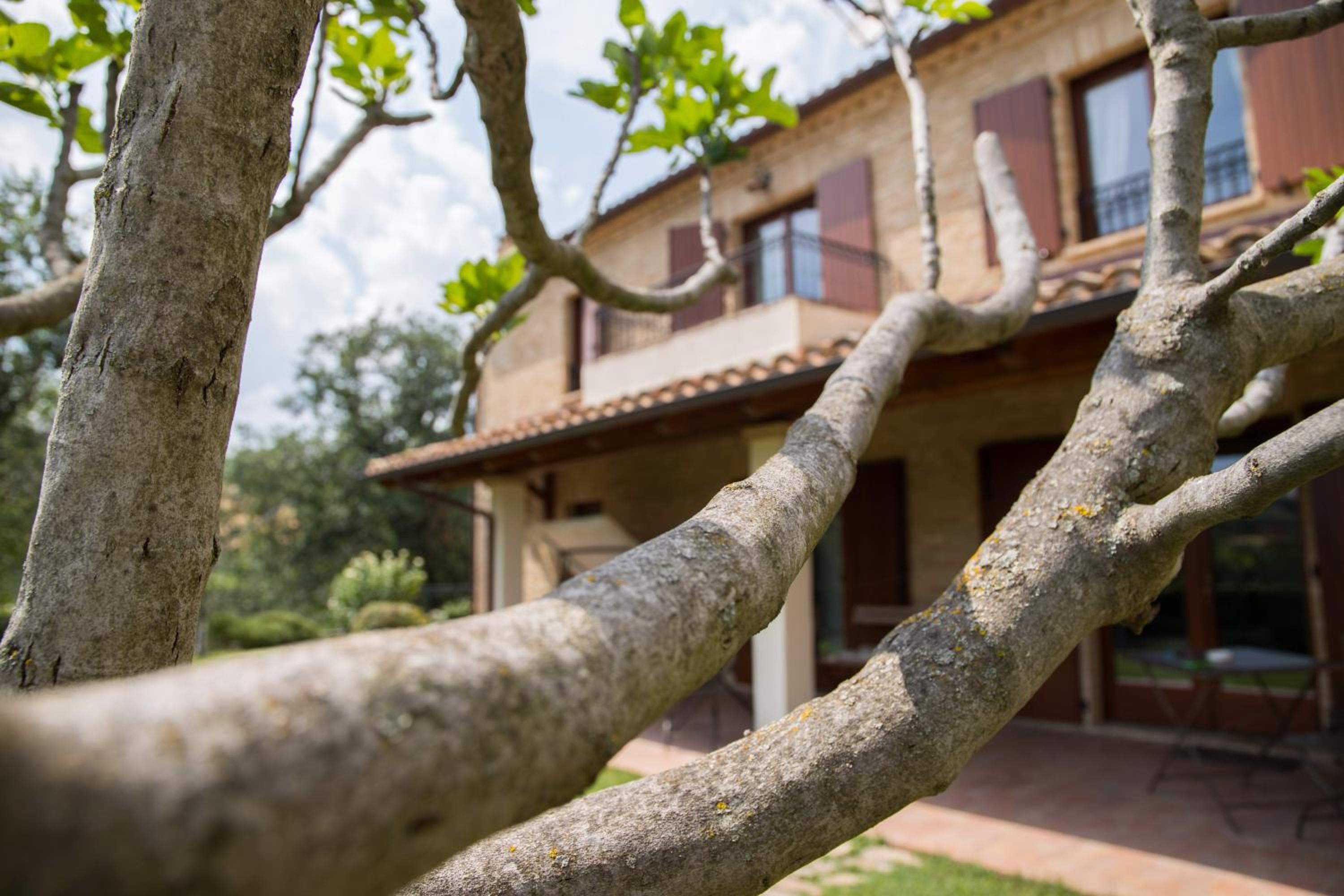 Casa Di Mi