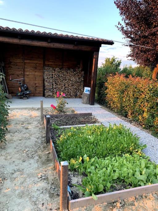 Bricco Tigliolette (just for two)