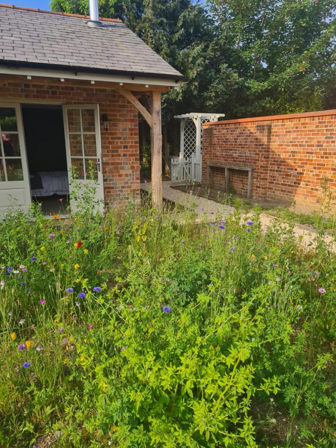 Dragonfly cottage