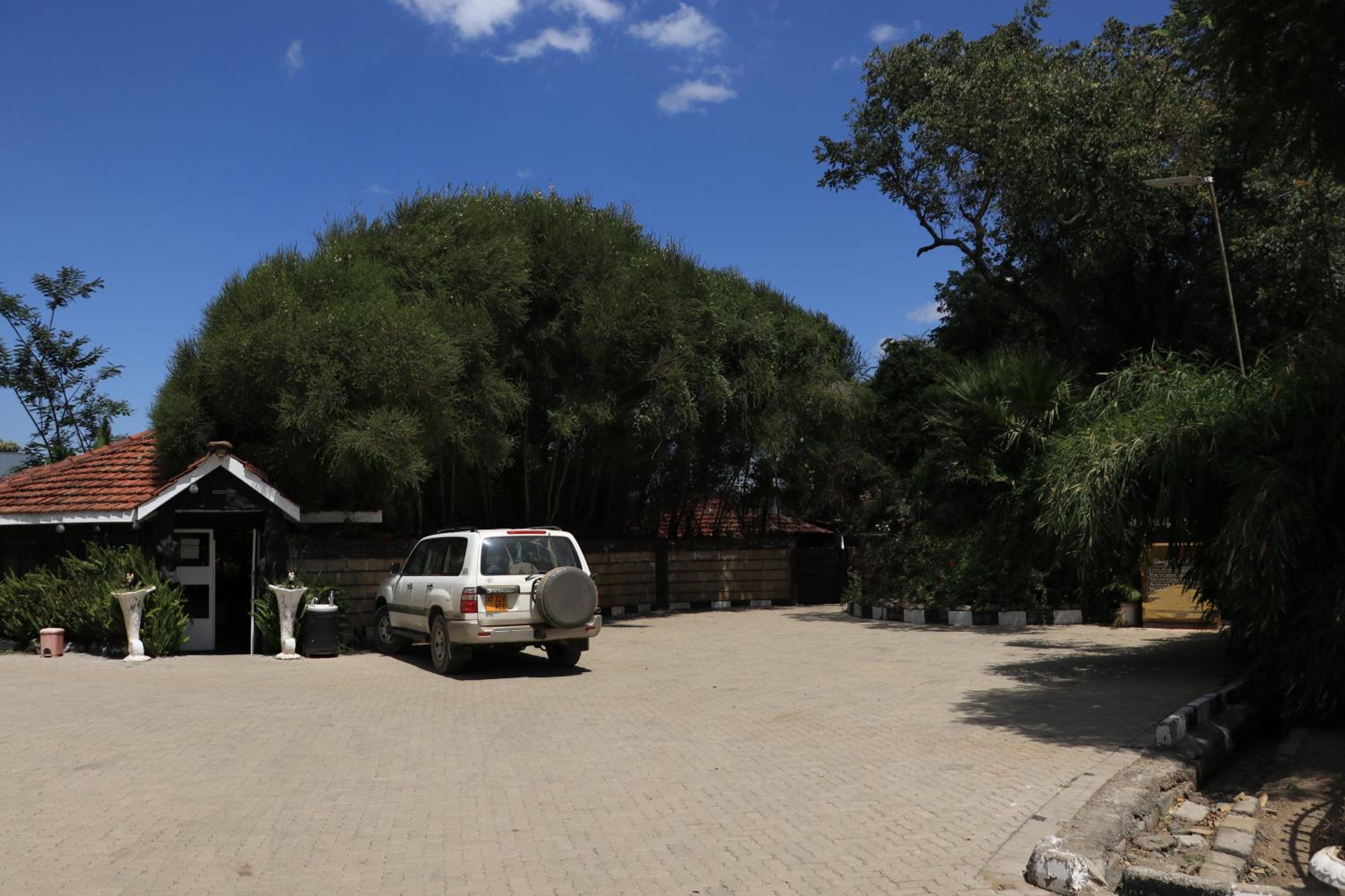 Photo 15