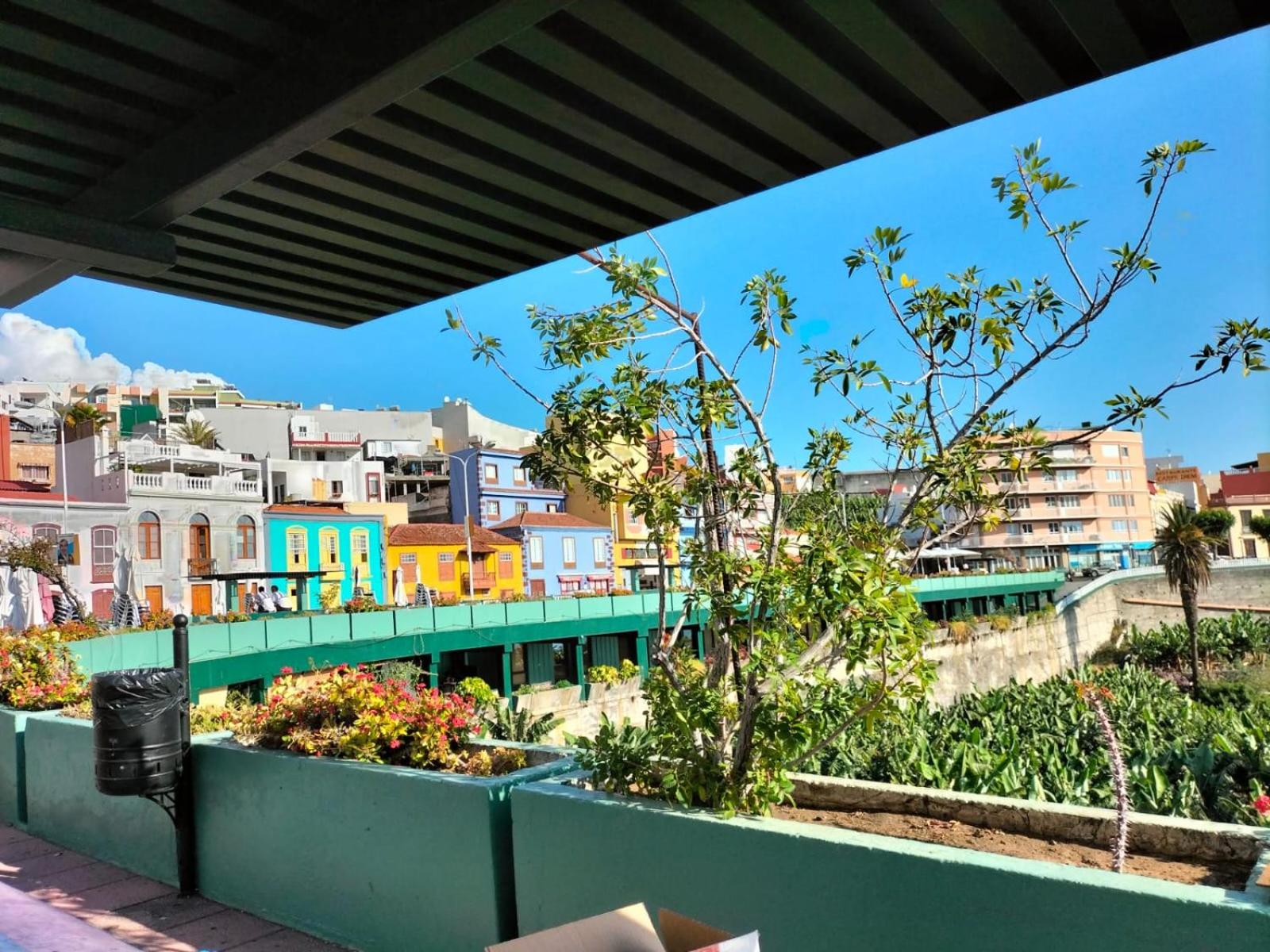 paraiso soleado