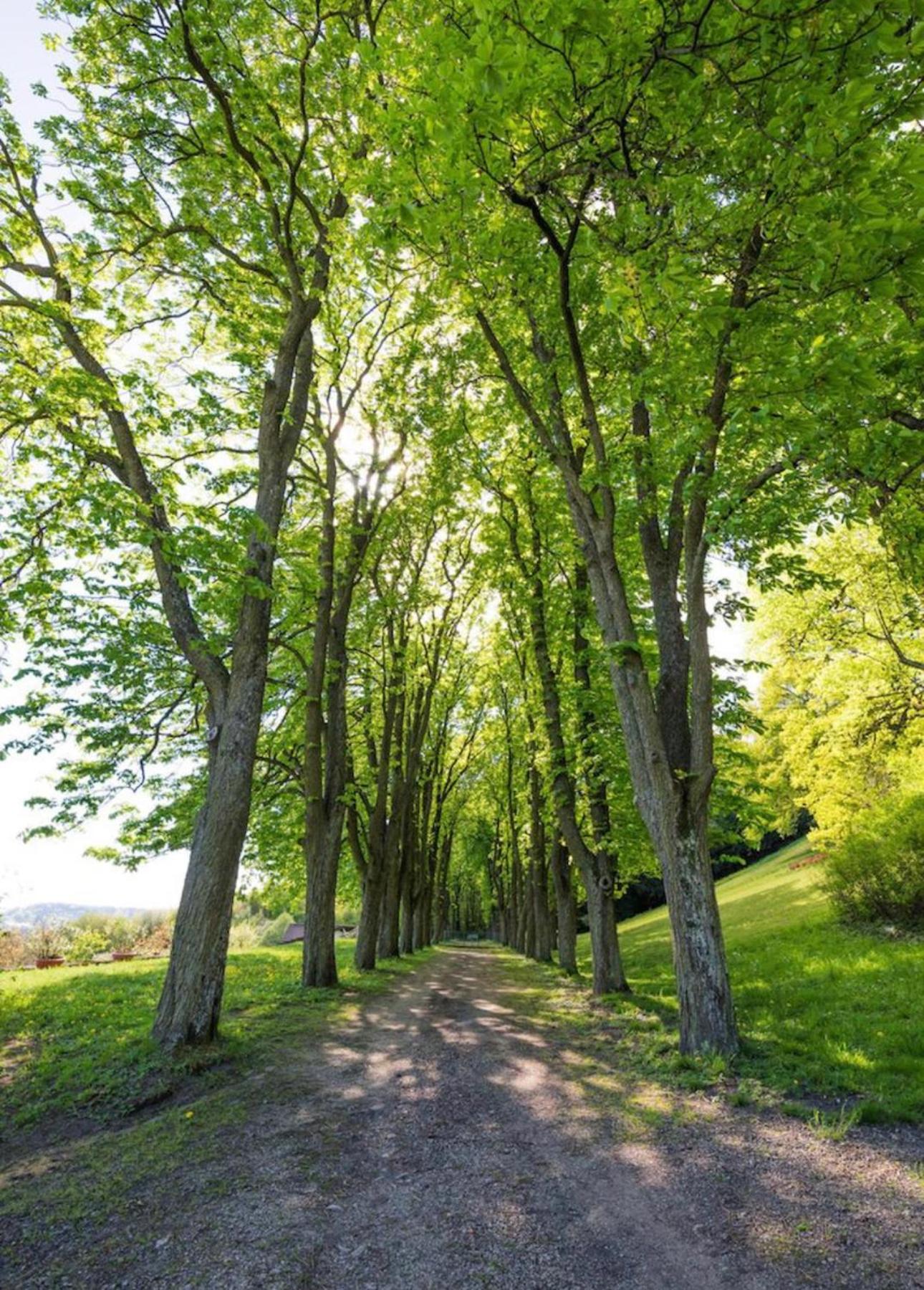 Urlaub in Schlossnähe