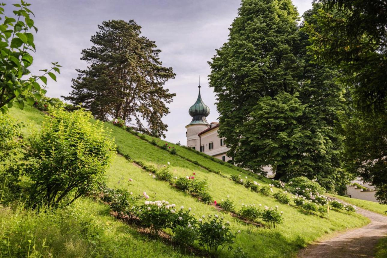 Urlaub in Schlossnähe