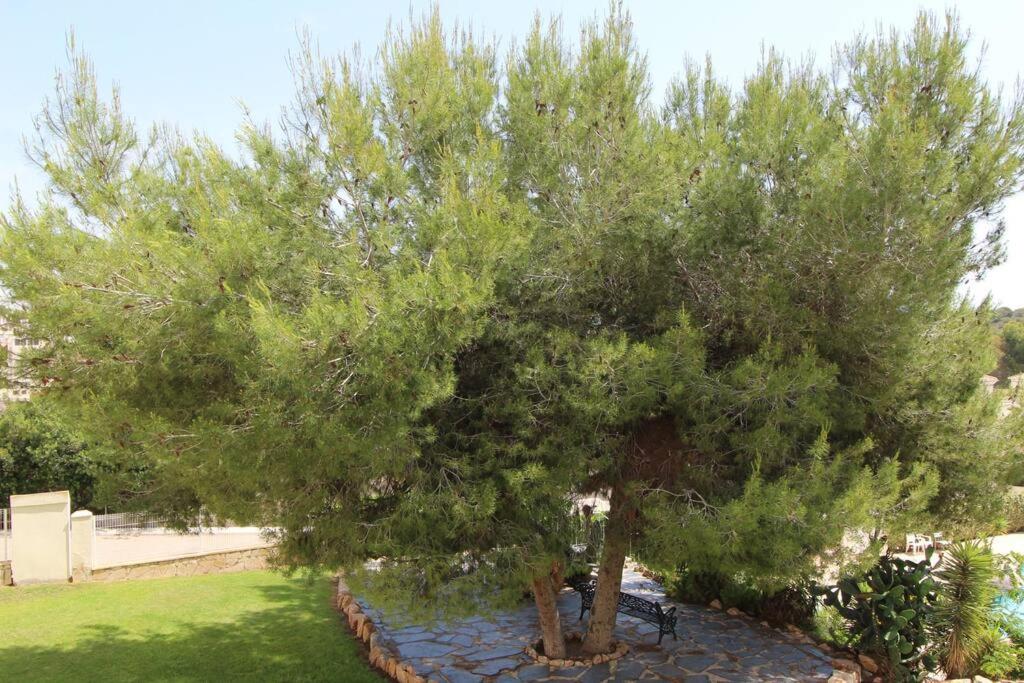 Fabulous 2 bed apartment on Las Ramblas Golf view 3