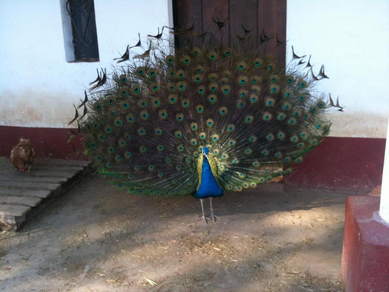 Photo 17