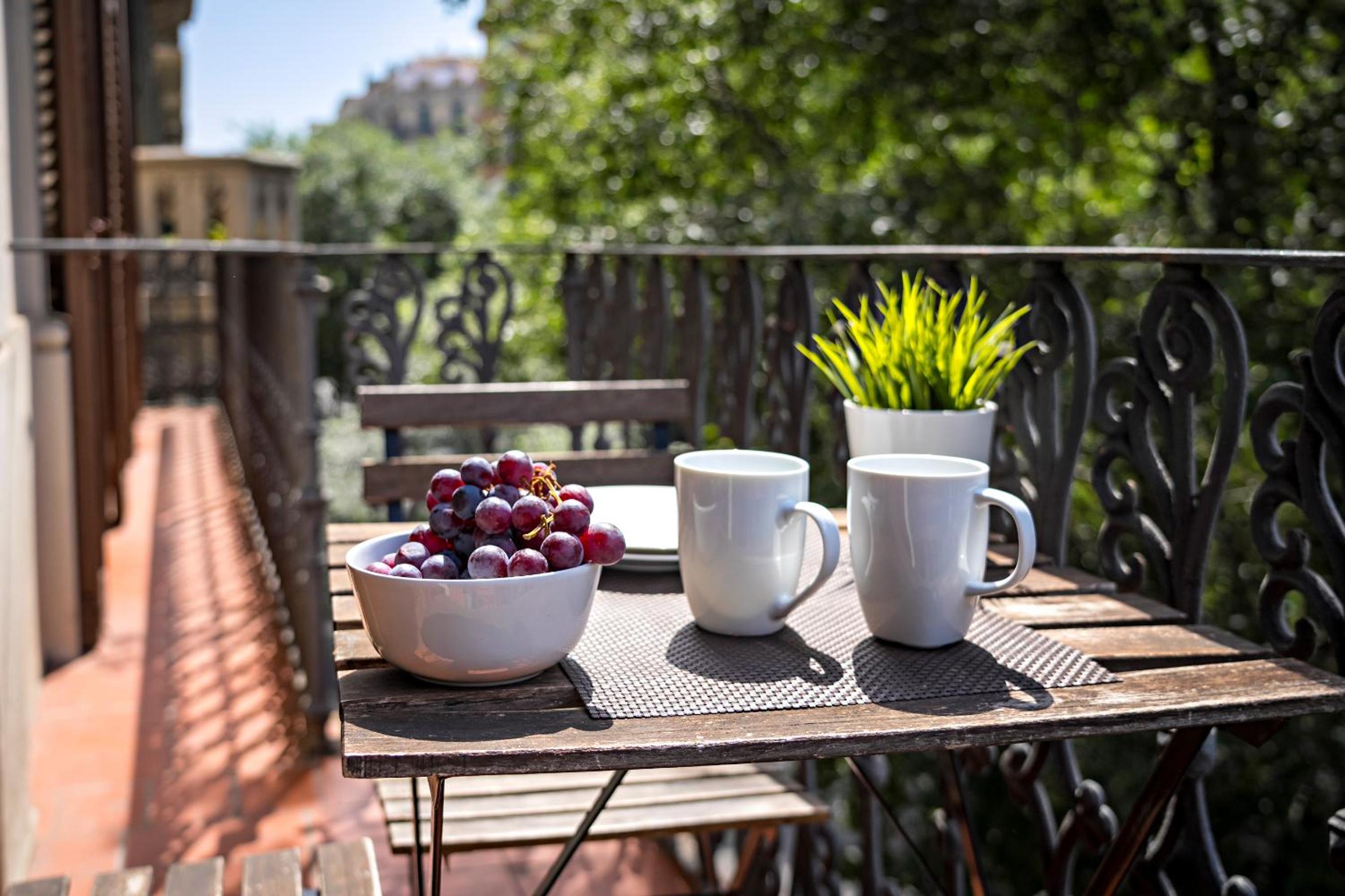 balance & terrace