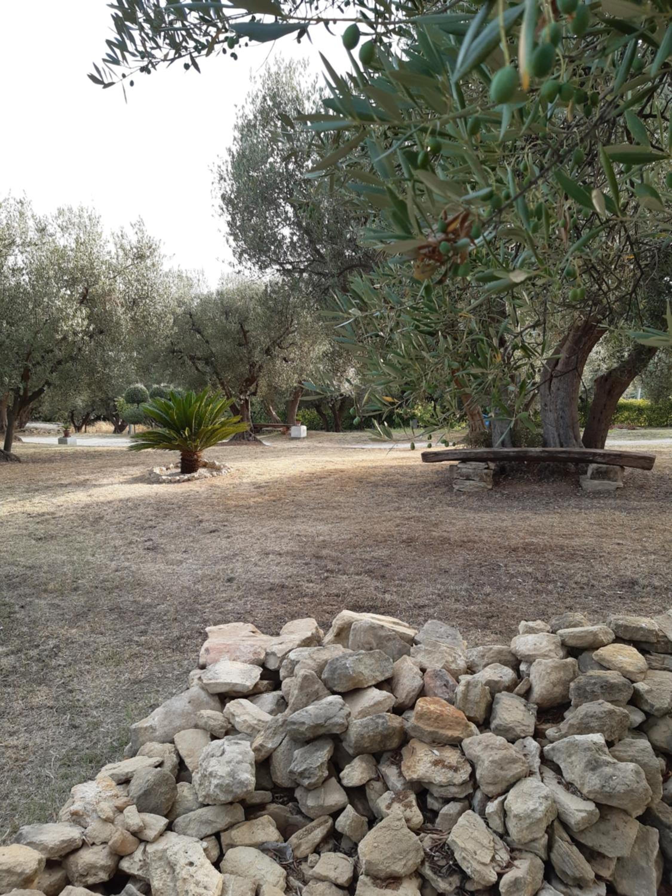Photo 35