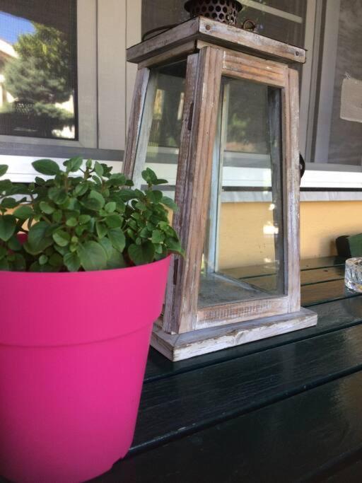 The Little Blooming House