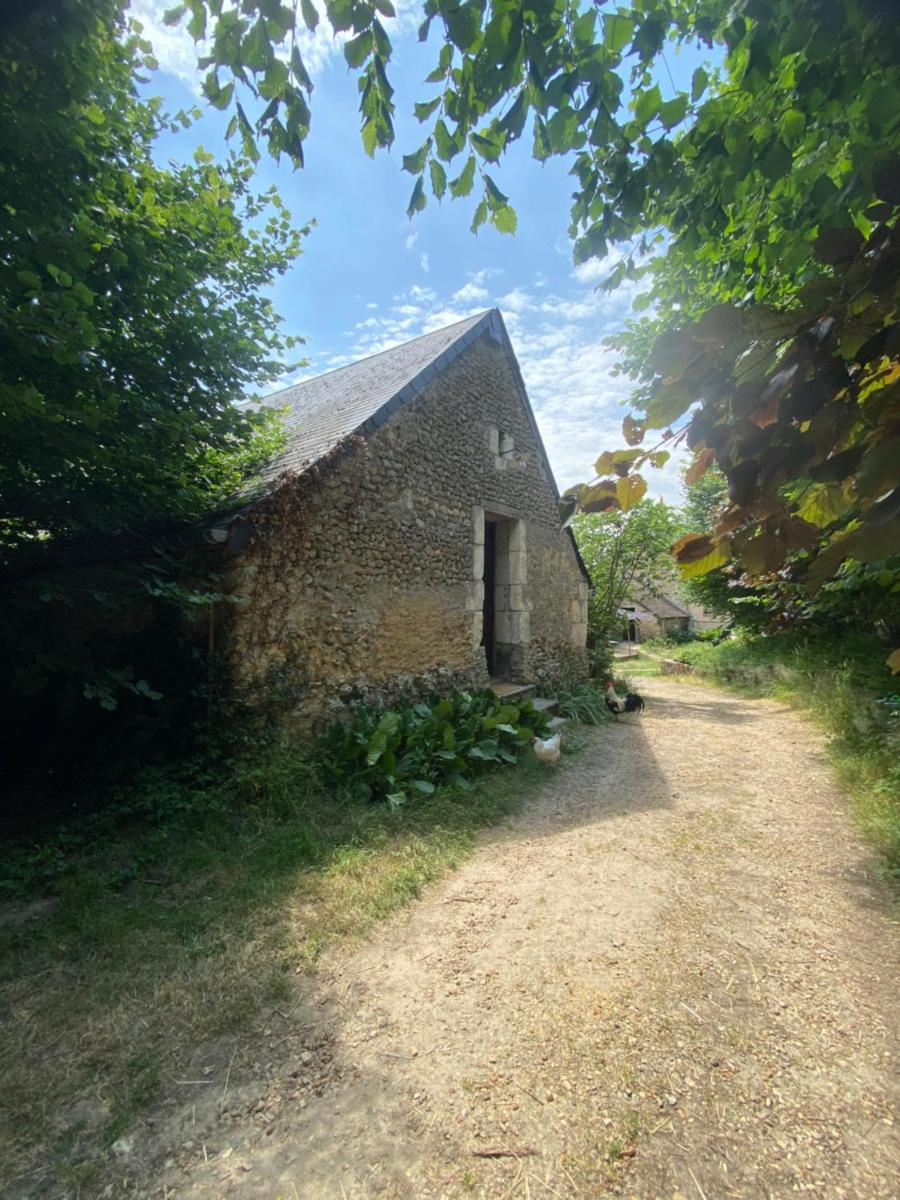 Loire Valley Llama Farm Stay view 5