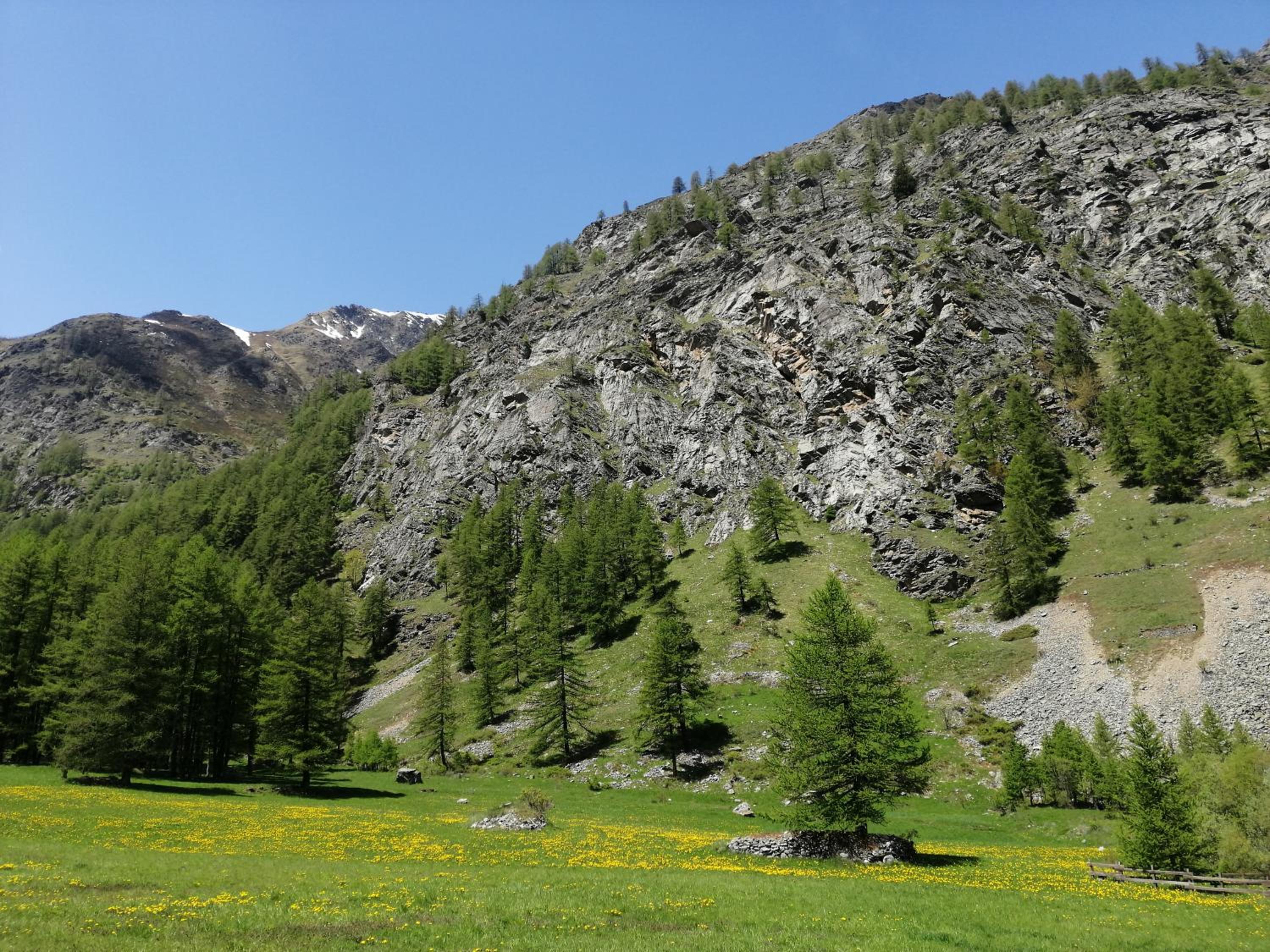 Appartamenti Lucianaz