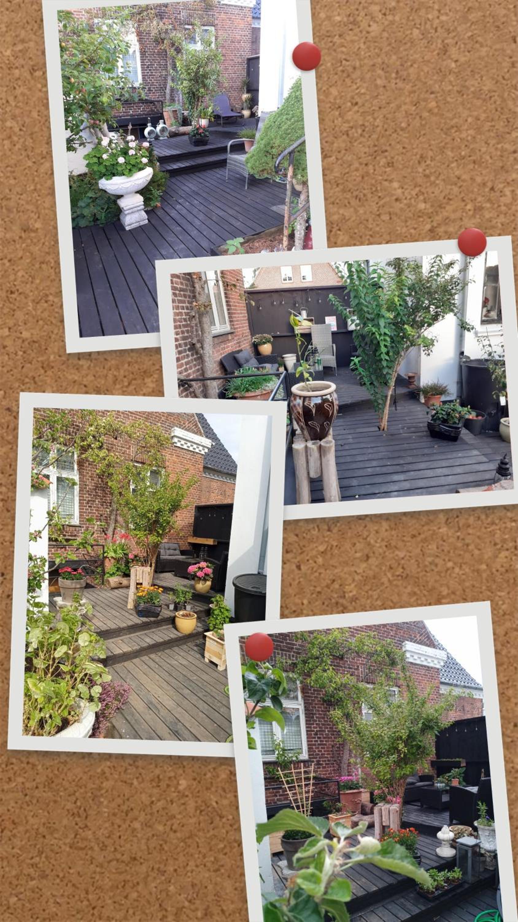 Ezzo guest house
