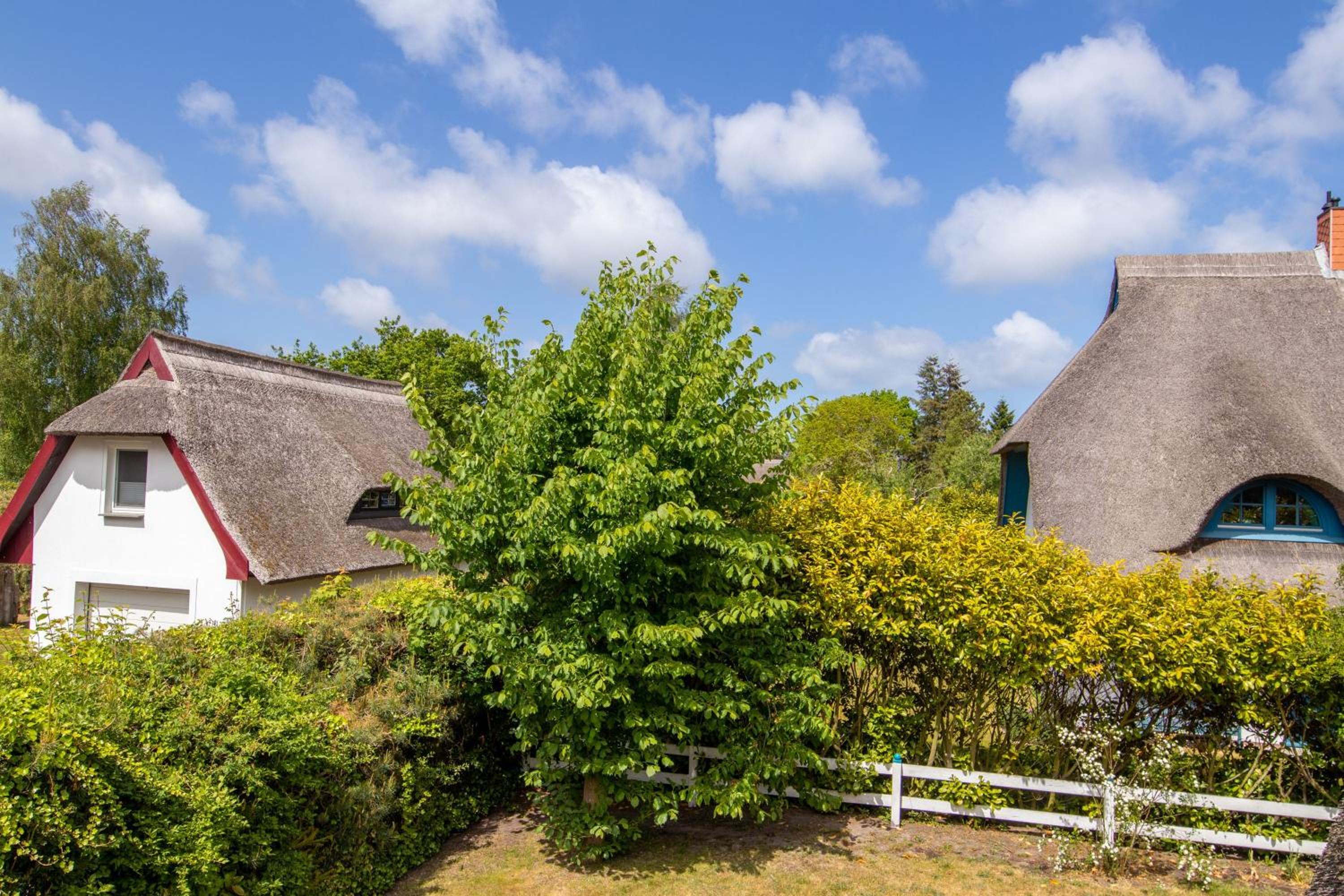 Haus Hansi