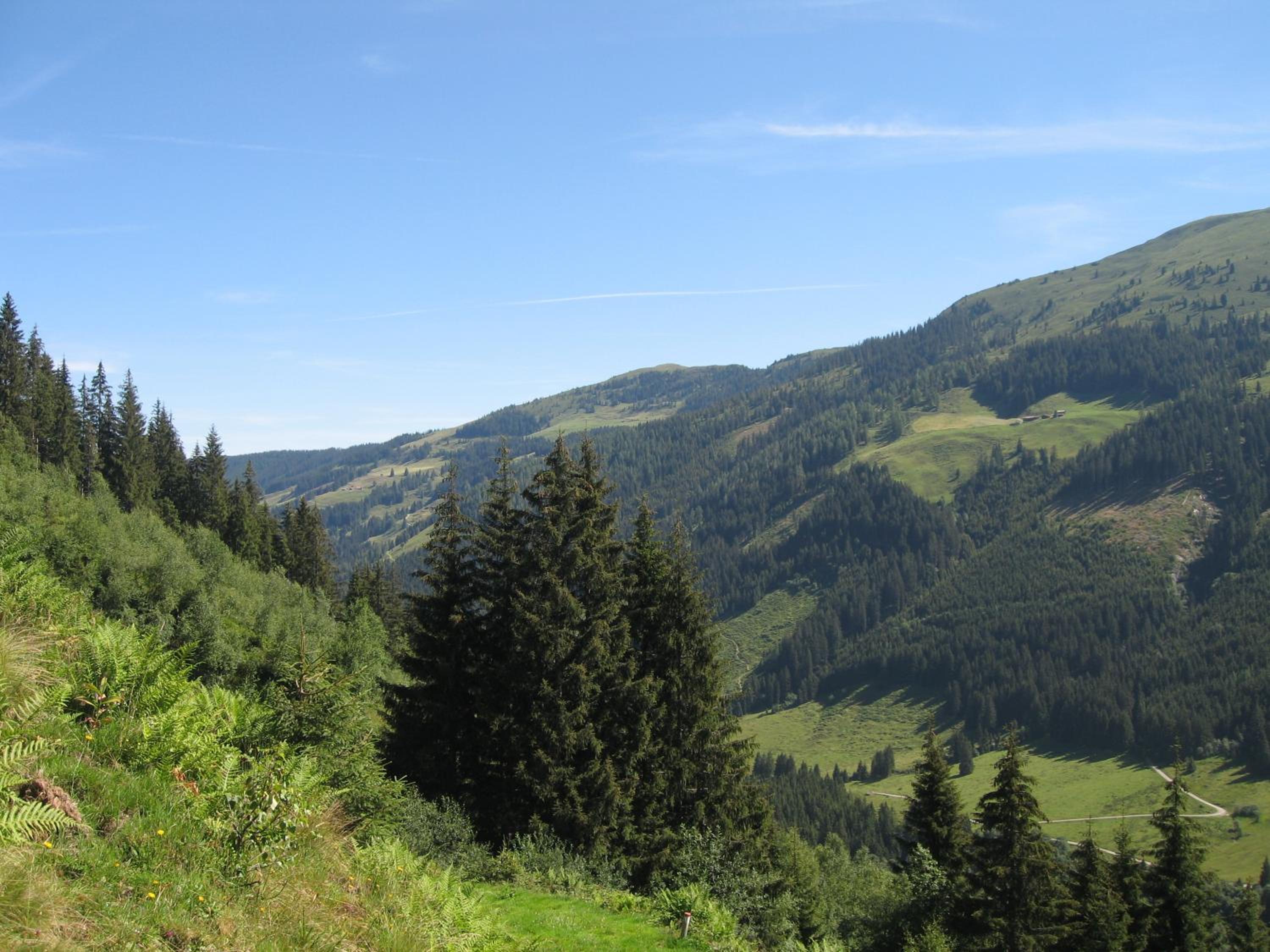 Appartement Gwiggner