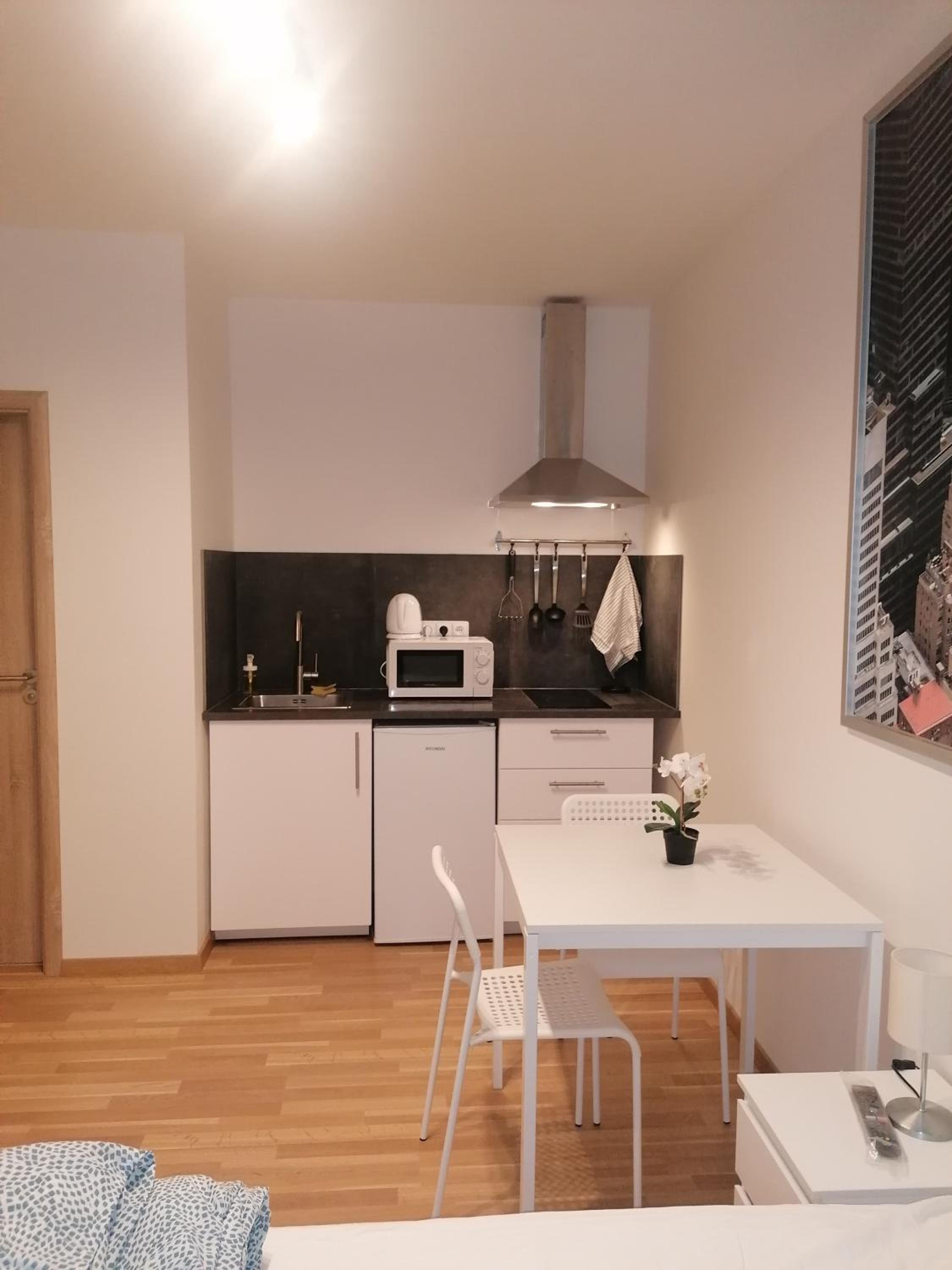 Studio brand new apartment #28 in new building with free parking in city center