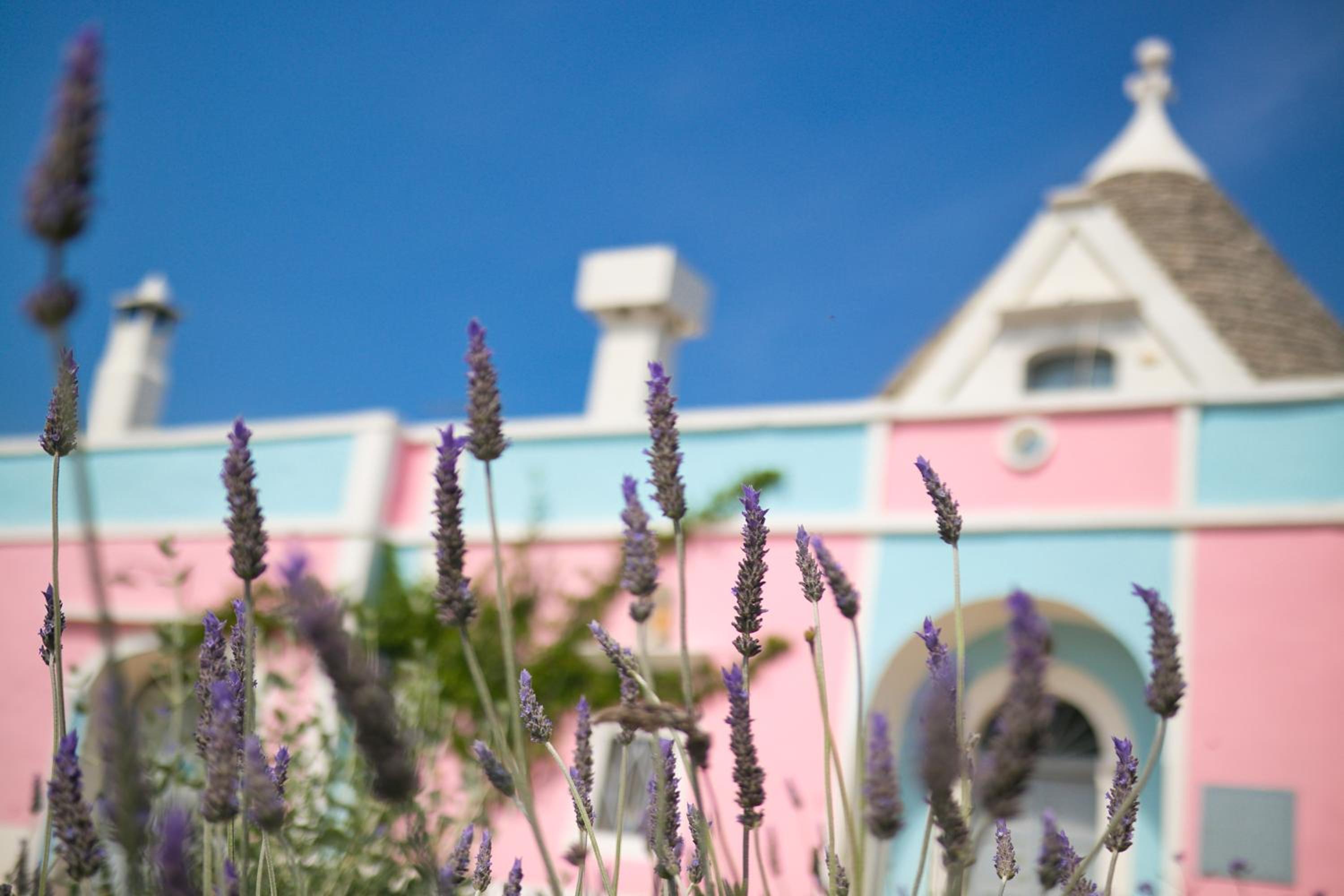 Masseria Trullo Sovrano Exclusive B&B