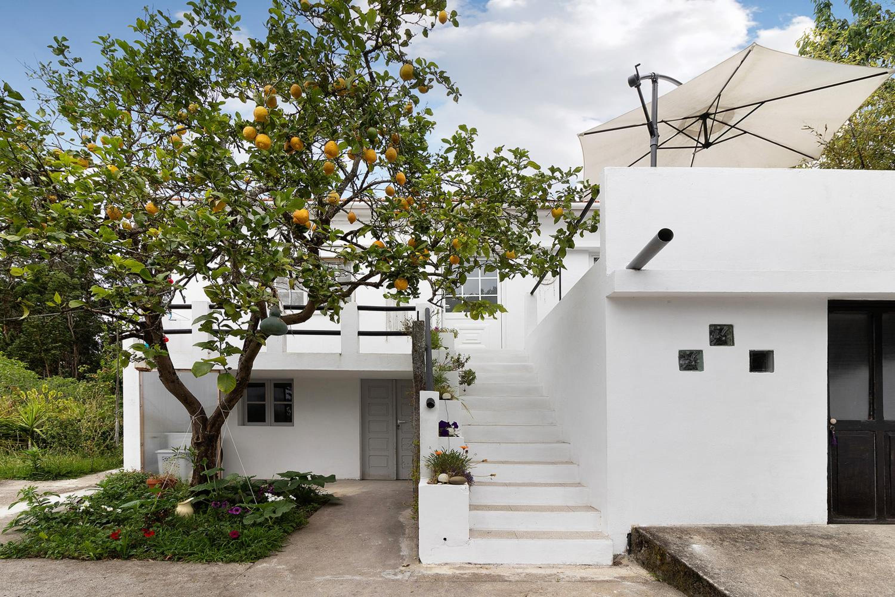 Casa Kiko view 2