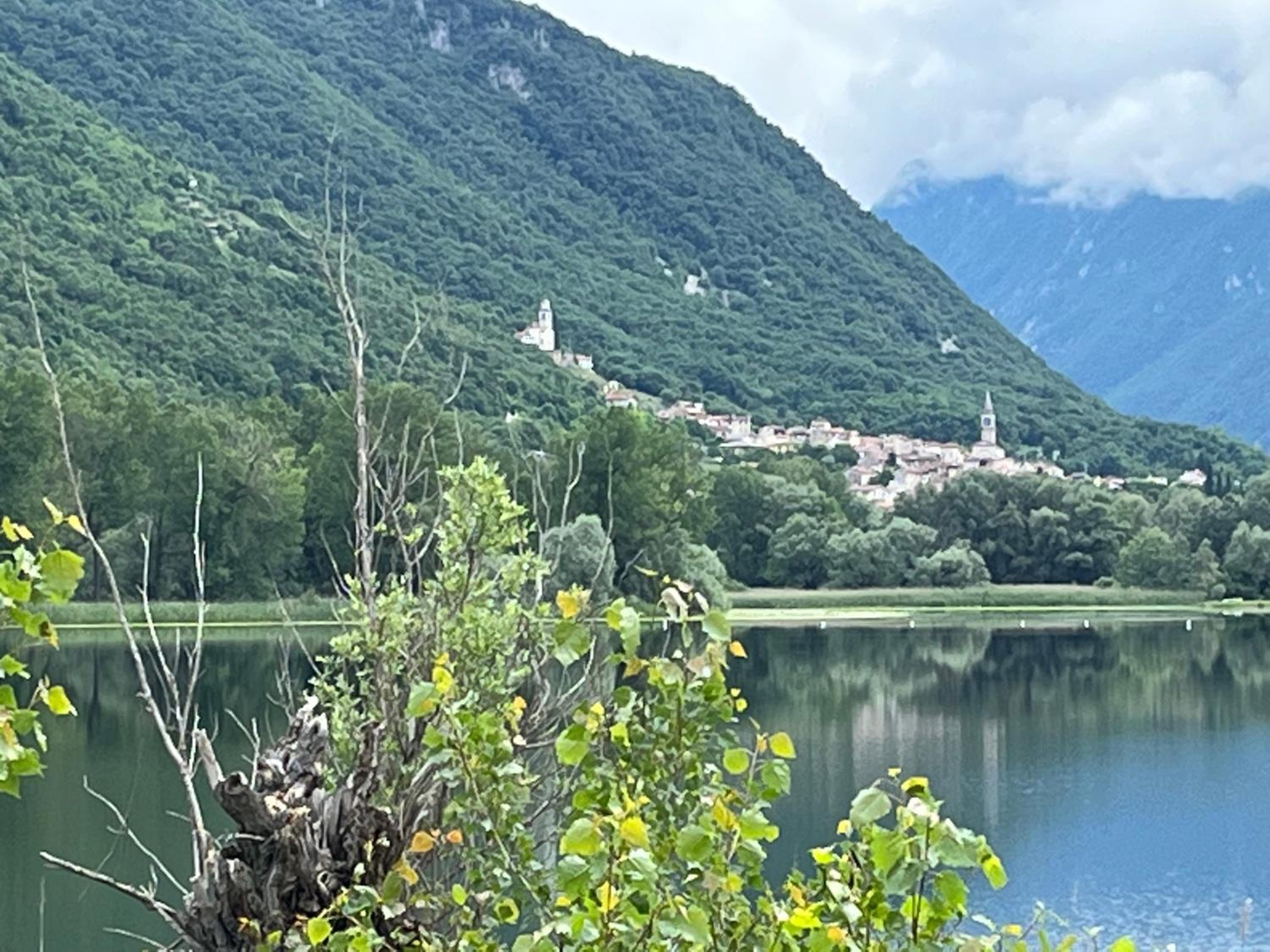 ALTRAVISTA TARZO
