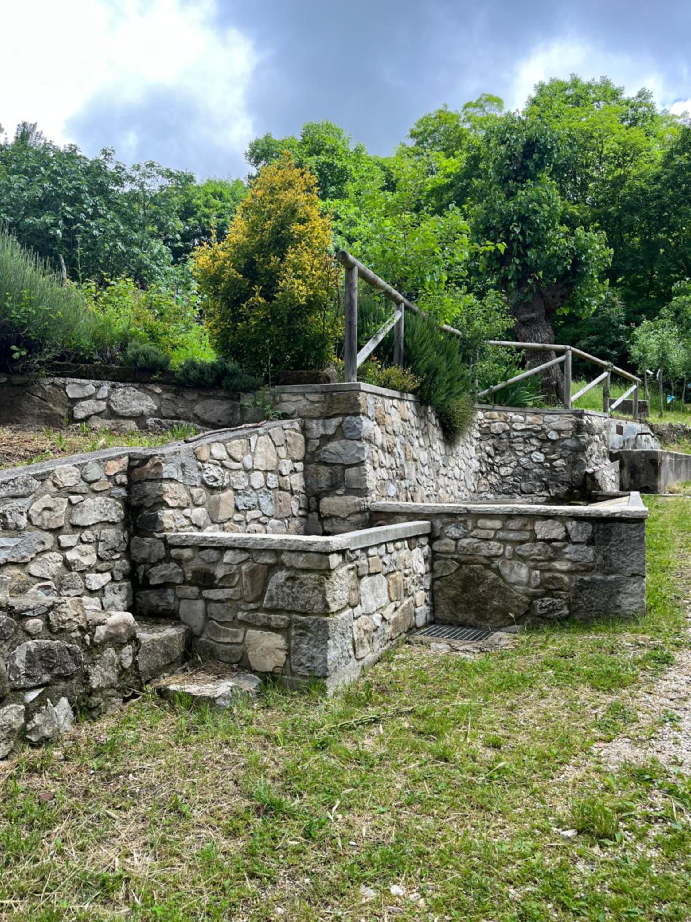 ALTRAVISTA TARZO