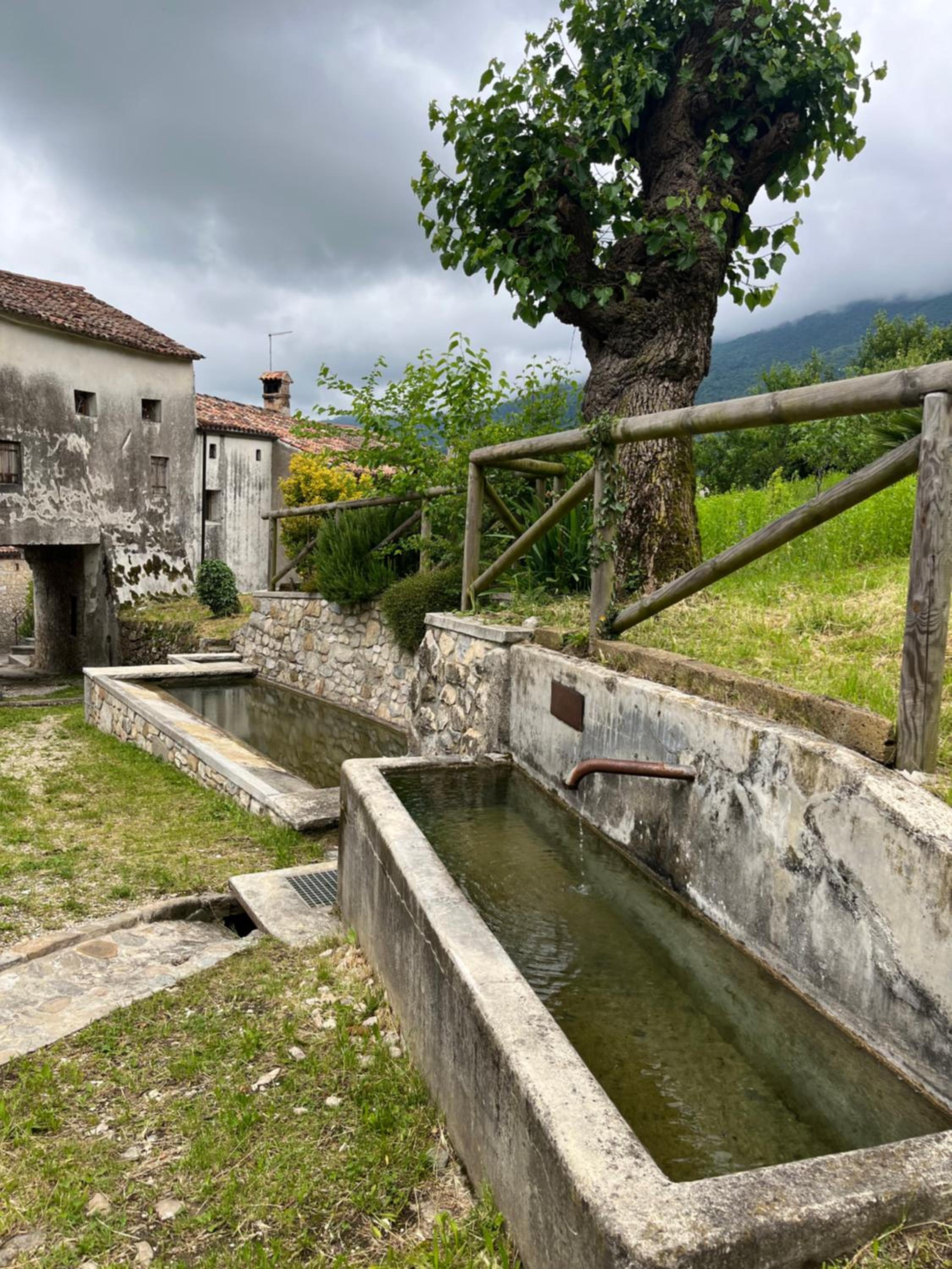 ALTRAVISTA TARZO