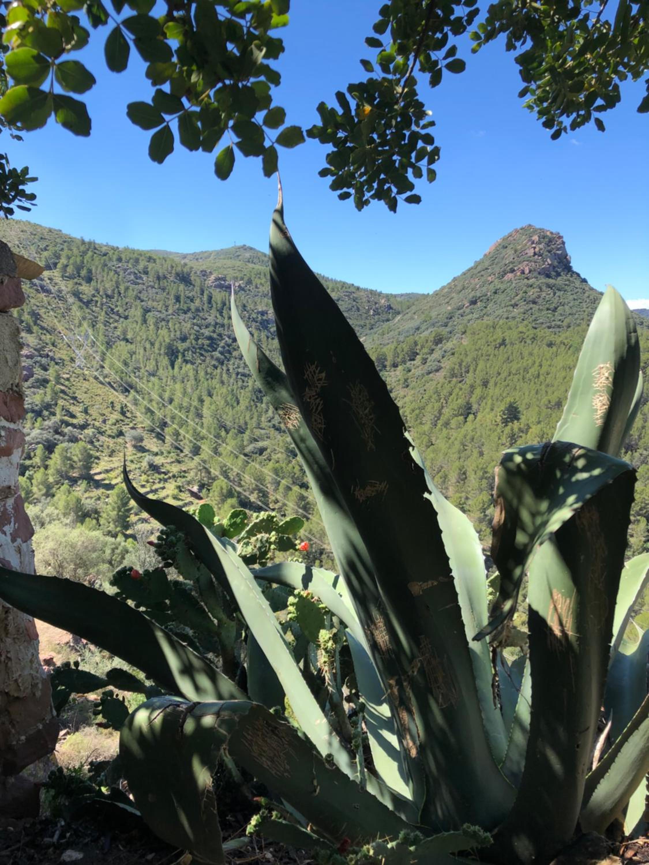 El Refugi