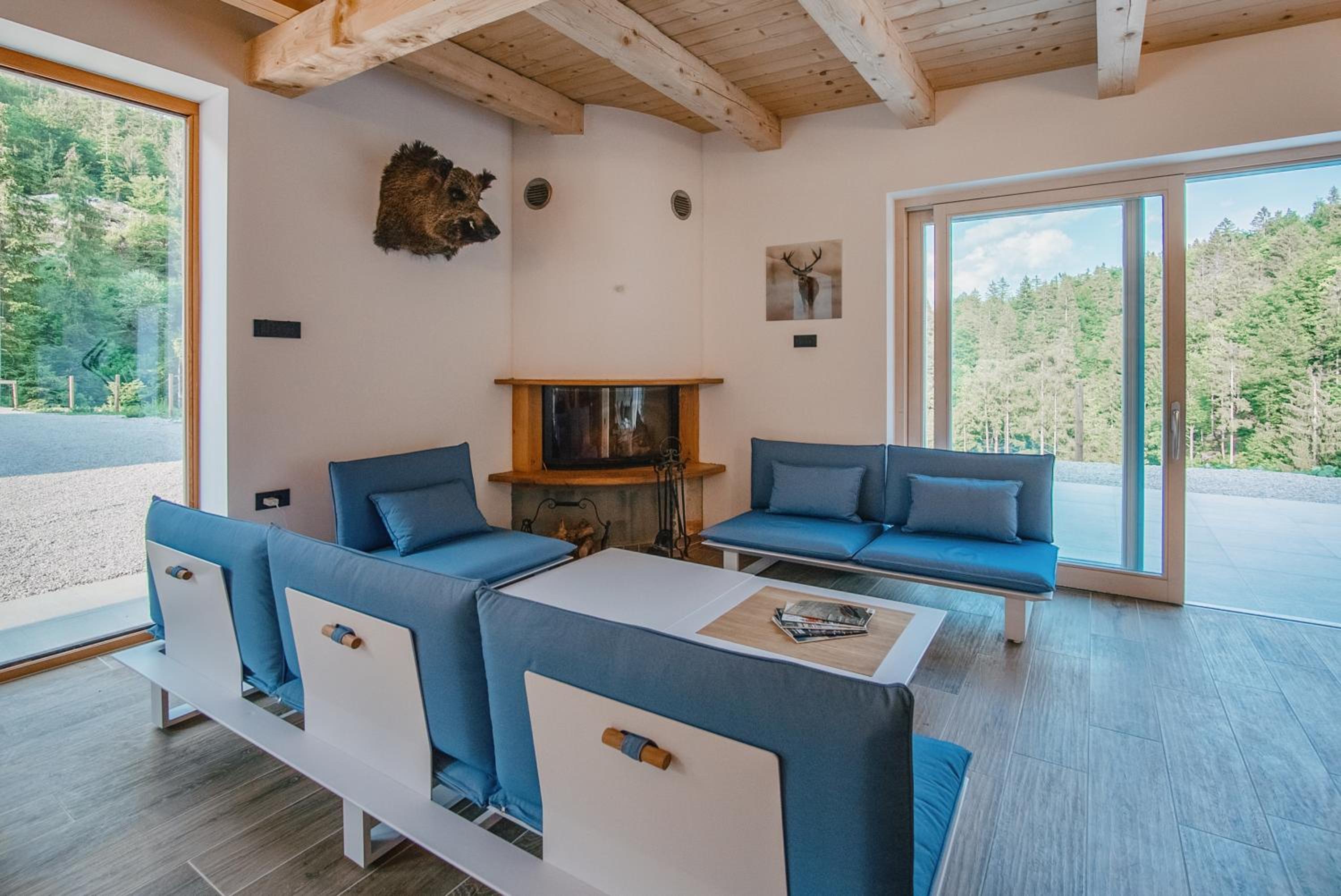 Chalet HerMes arT with pool and full privacy view 5
