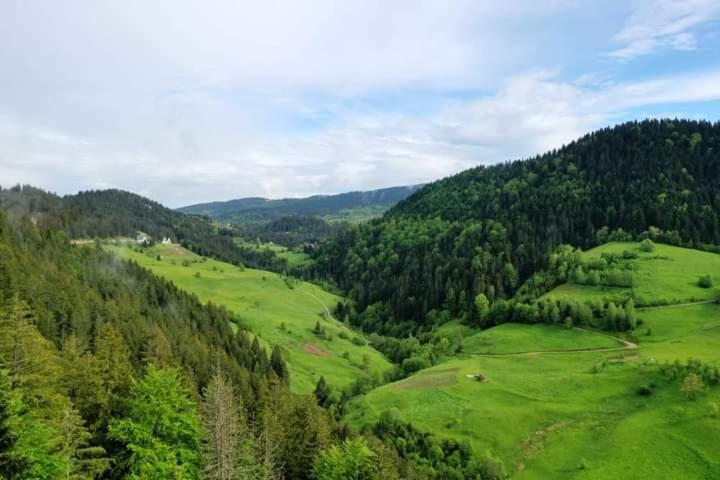 Photo 36