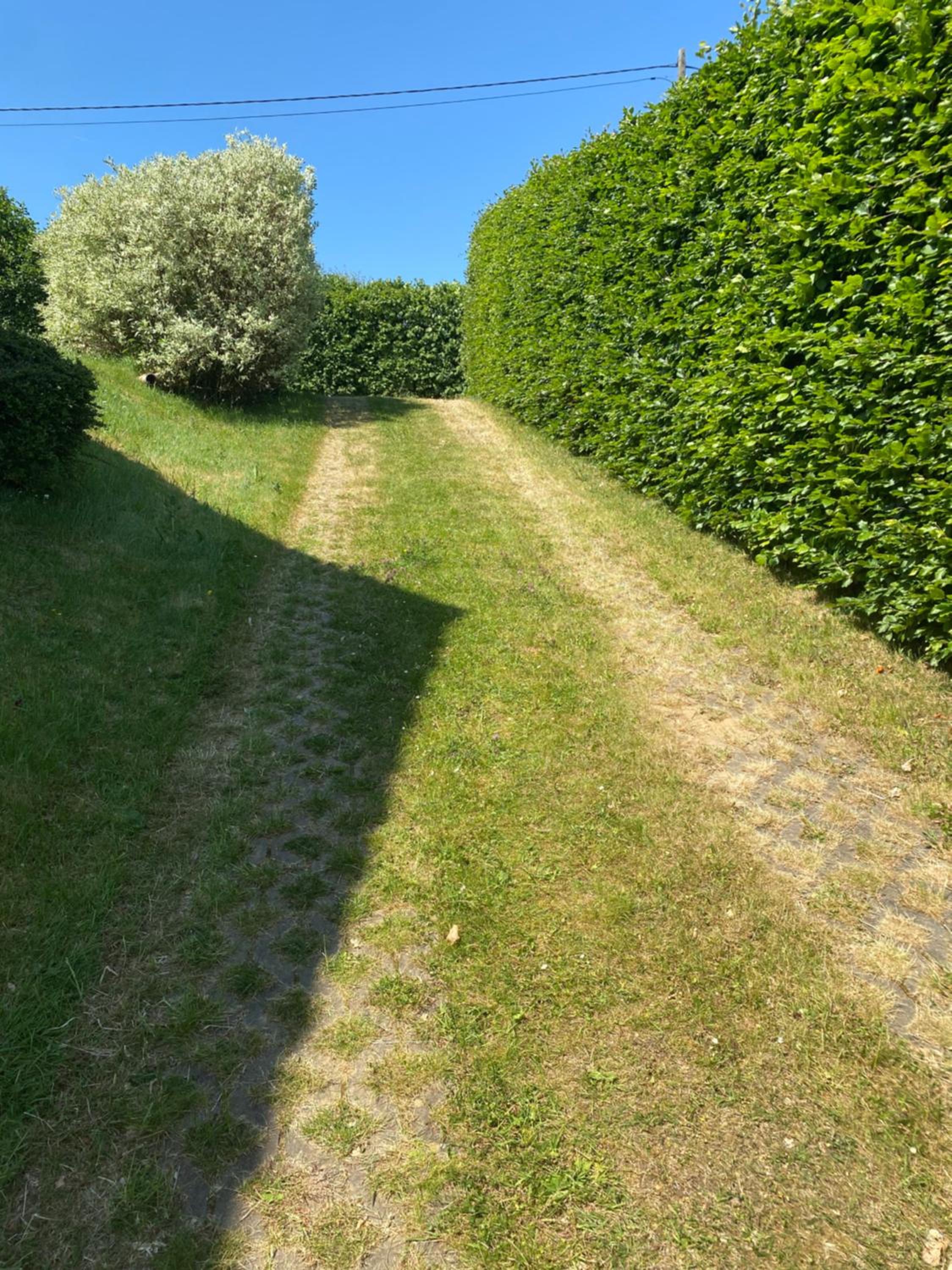 Photo 30