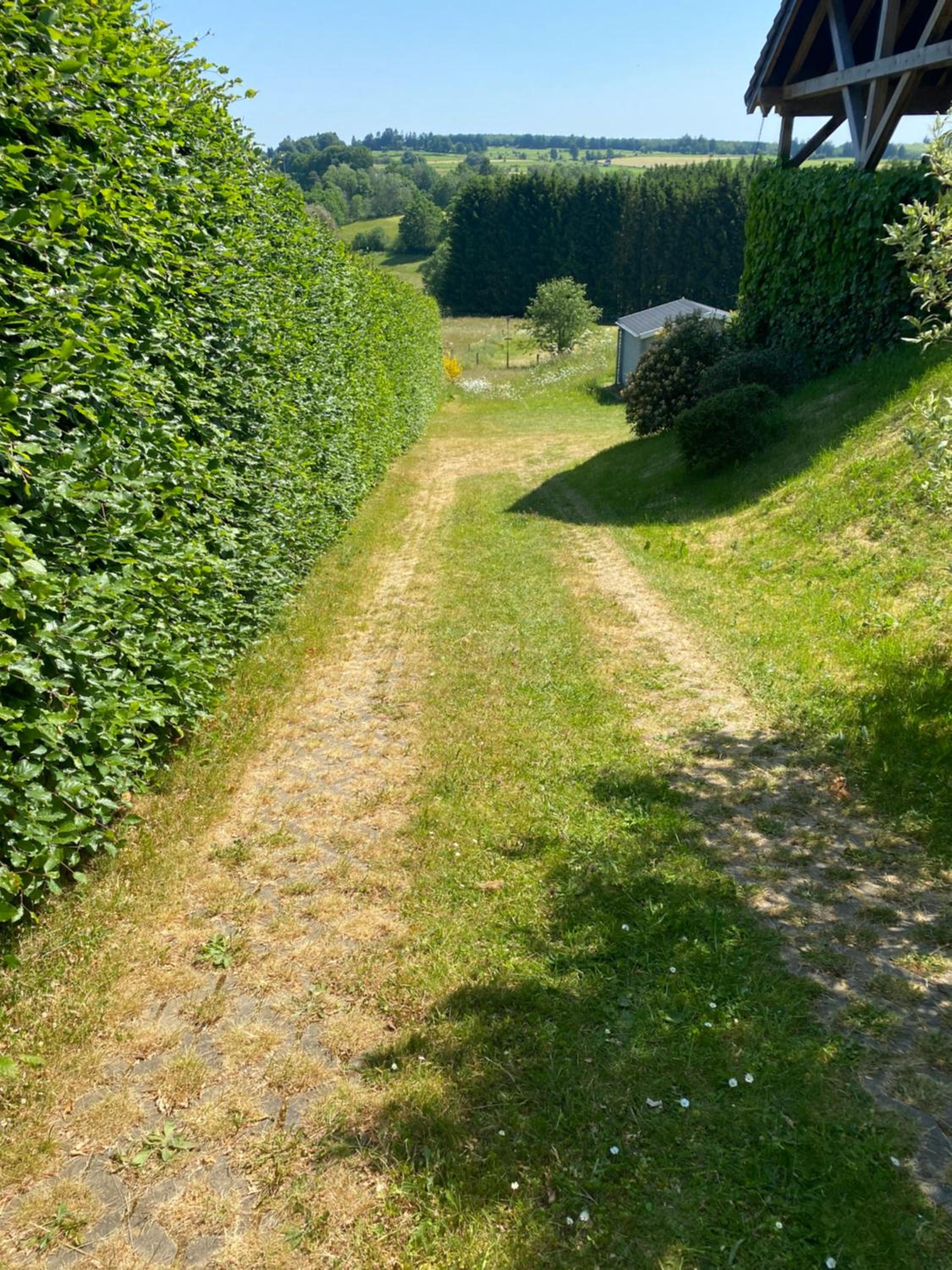 Photo 31