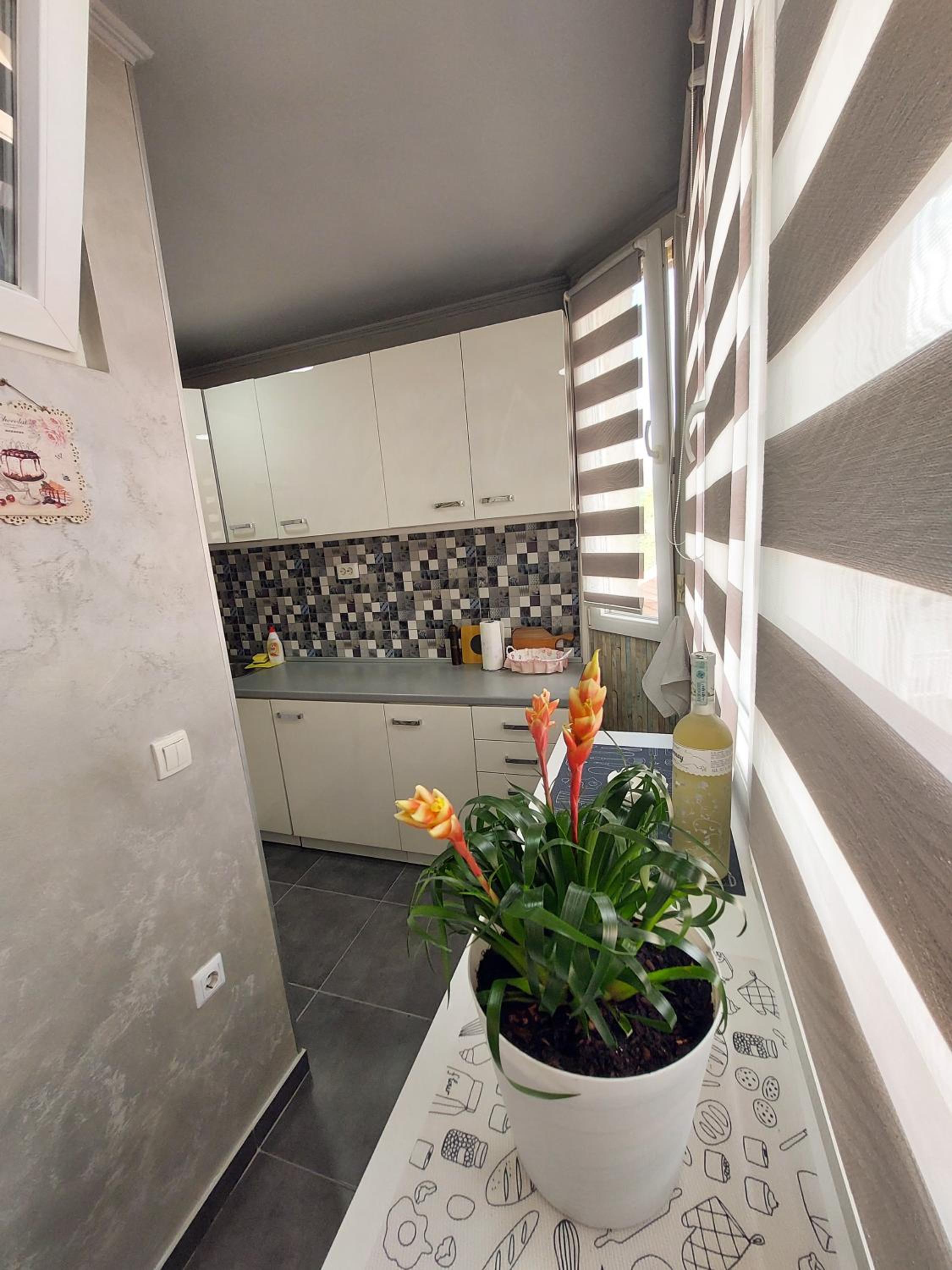 Apartman Hedonia