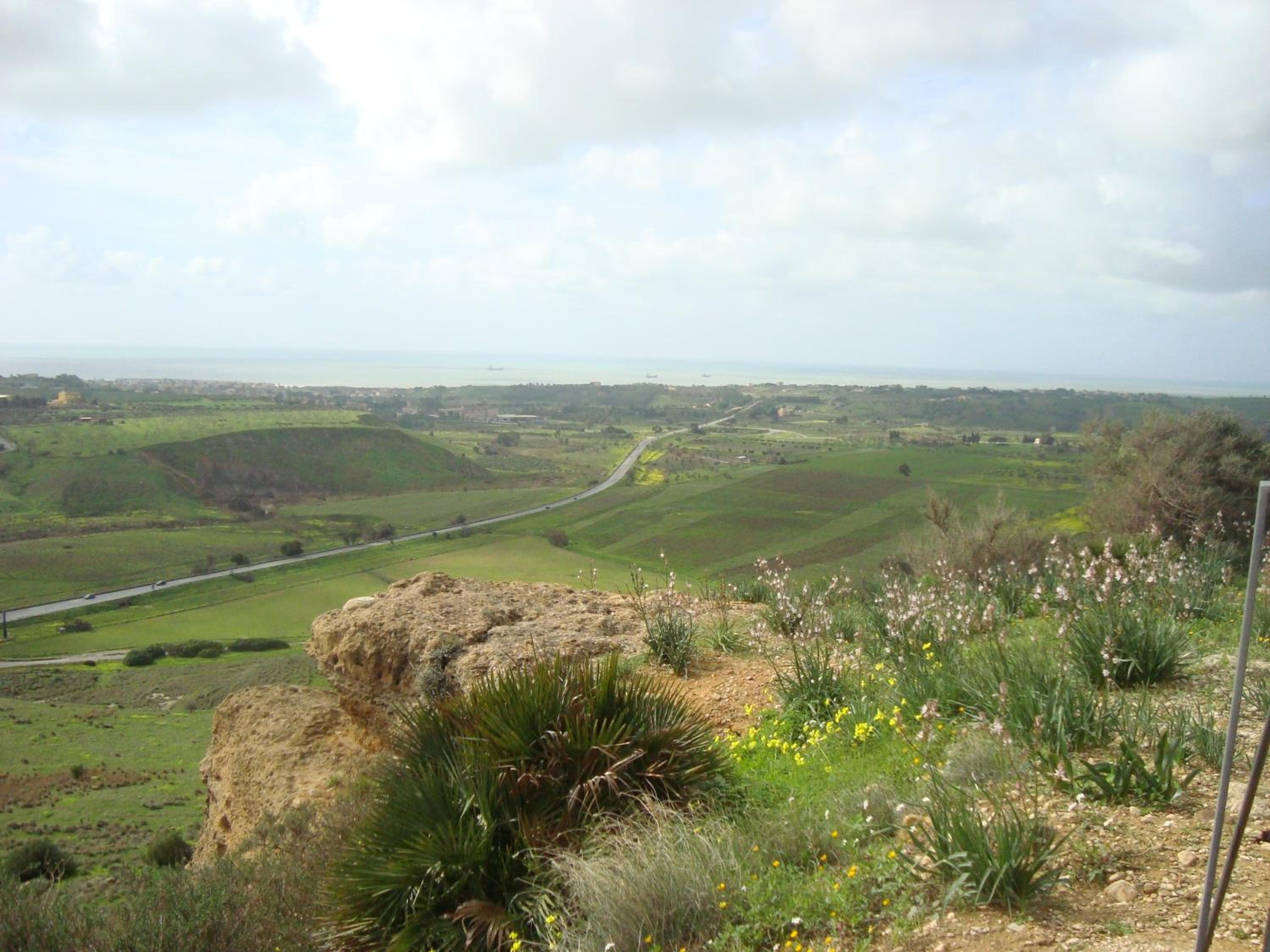 Photo 46