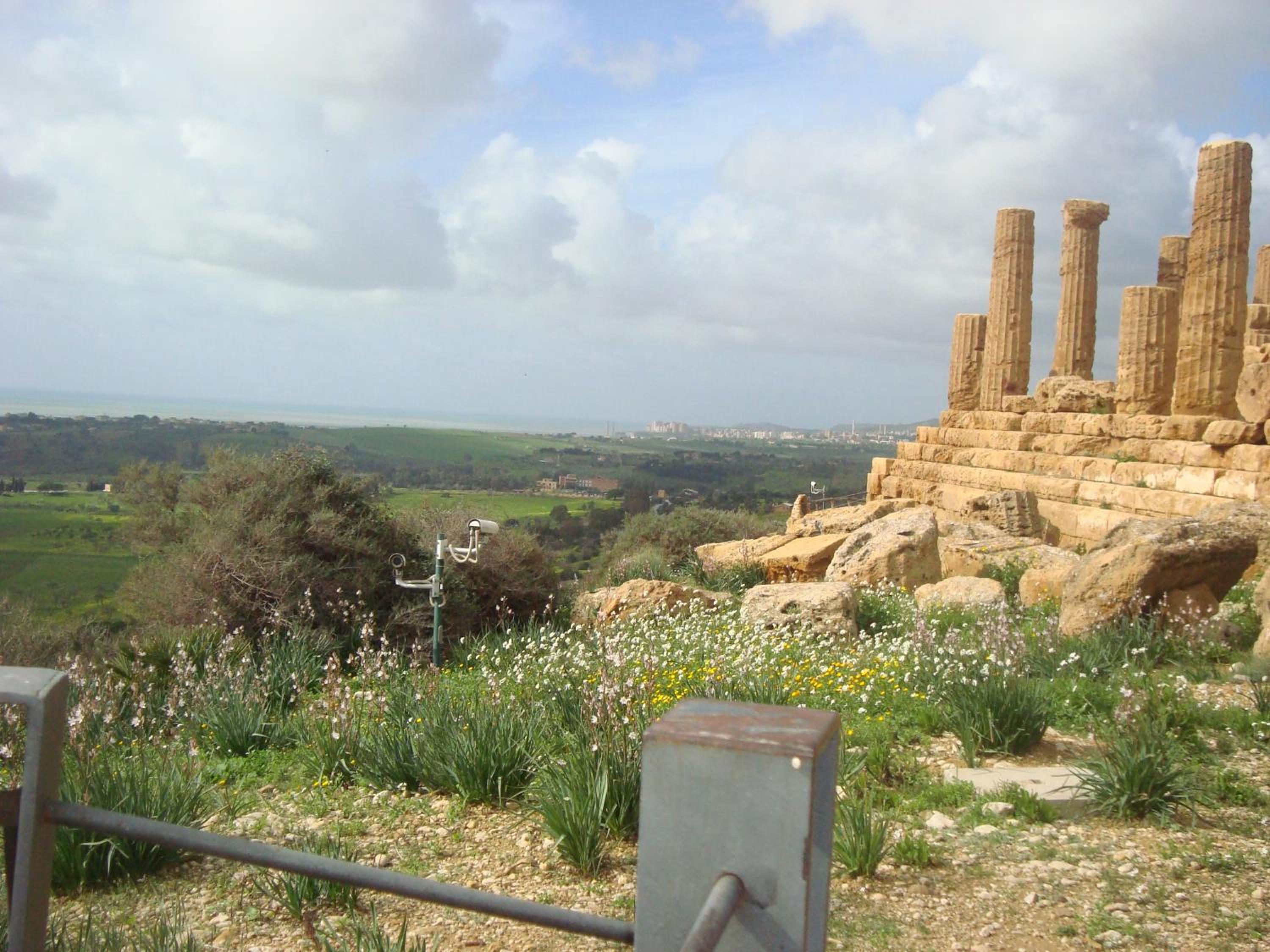 Photo 48