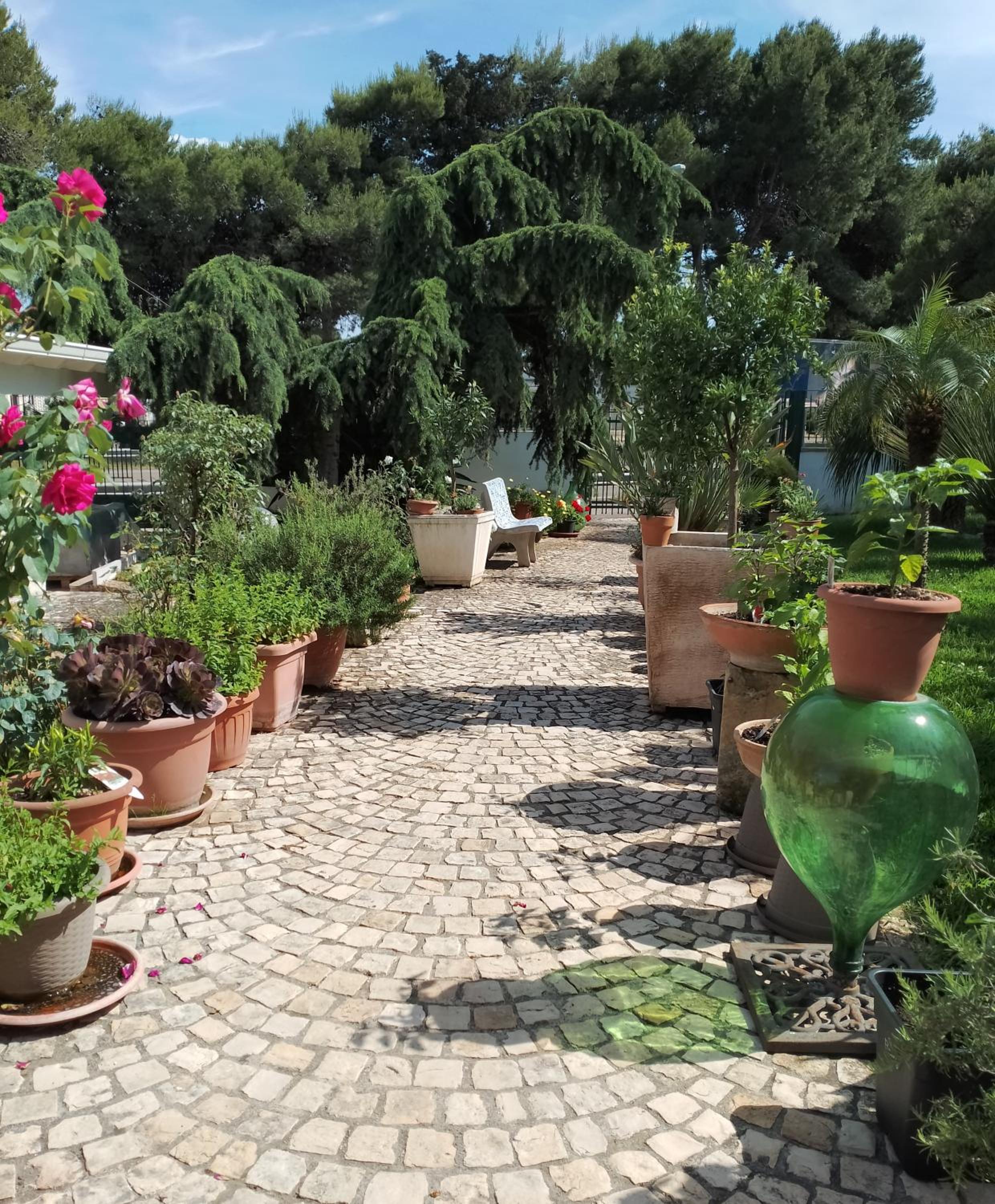 B & B Paradise view 2
