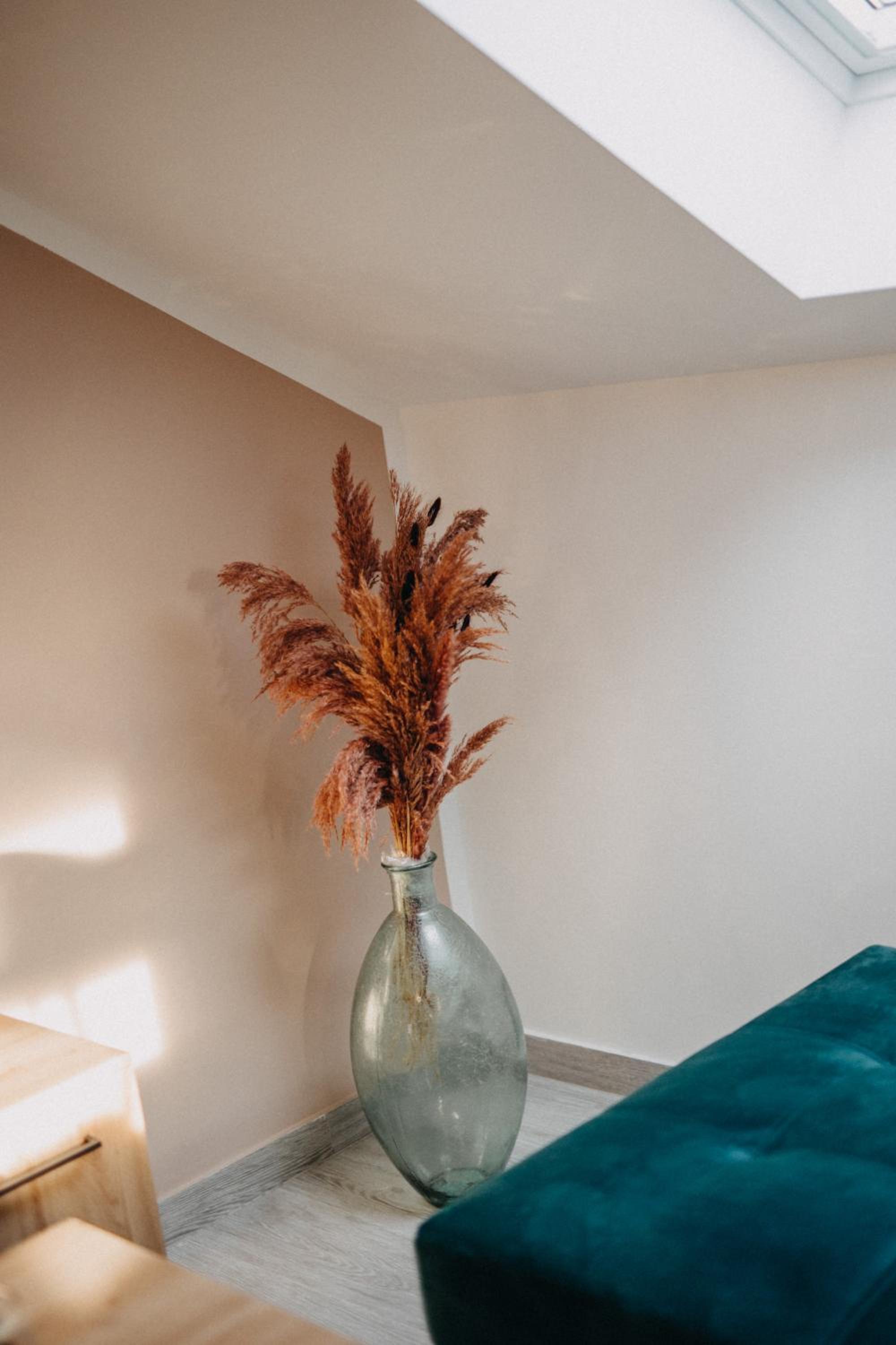 Apartmani Tanita