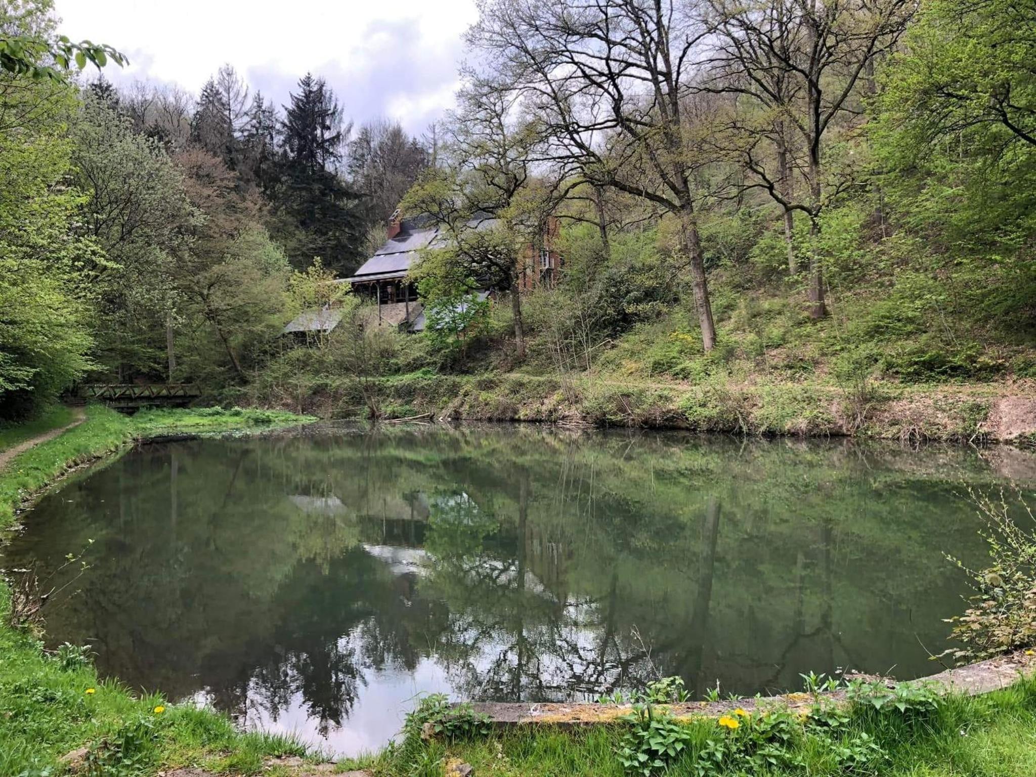 La cabane d'Hélie - Cottage en pleine forêt - Domaine du Bonsoy