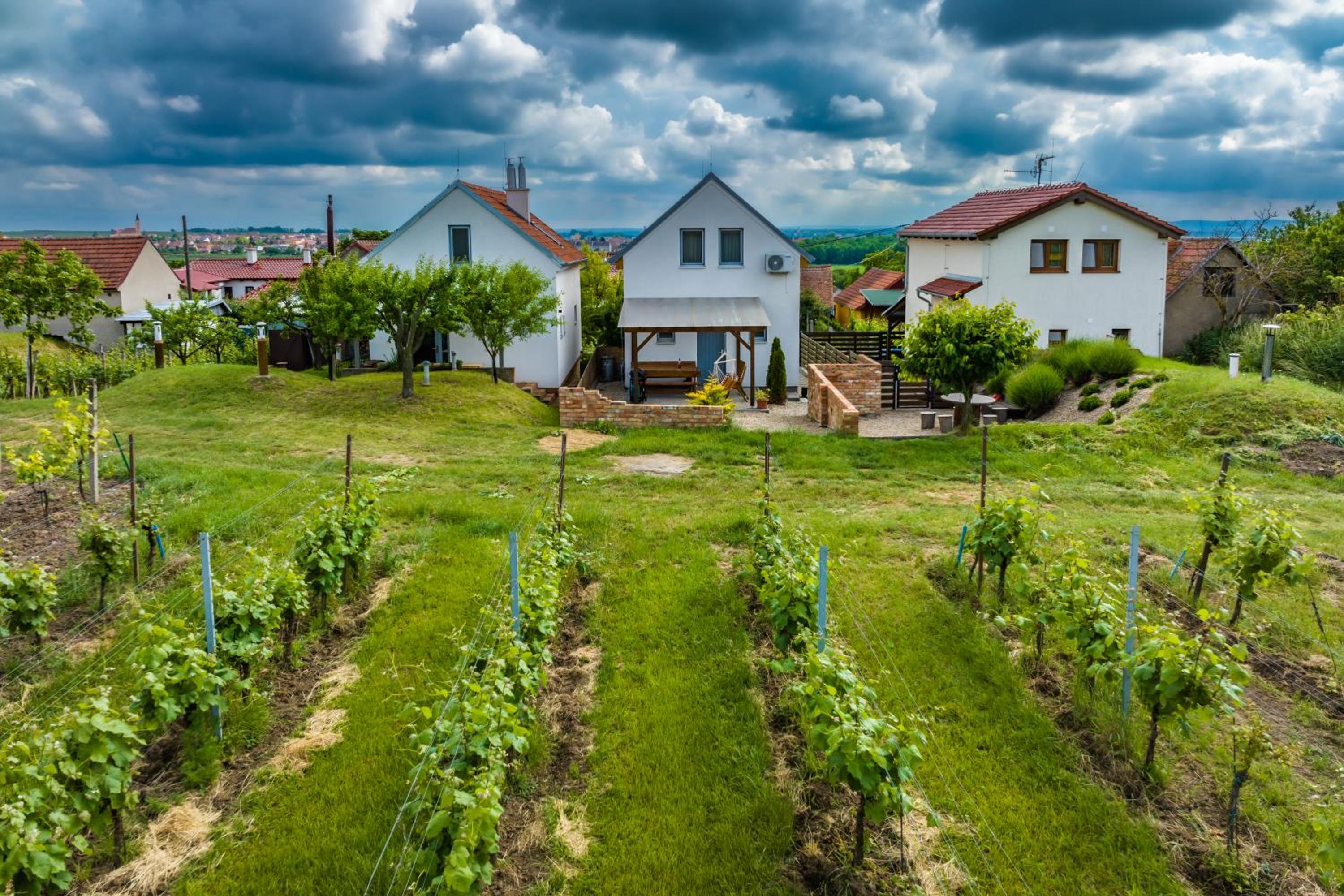 Vinoza - ubytování a vinný sklep Velké Bílovice Pod Vinicí