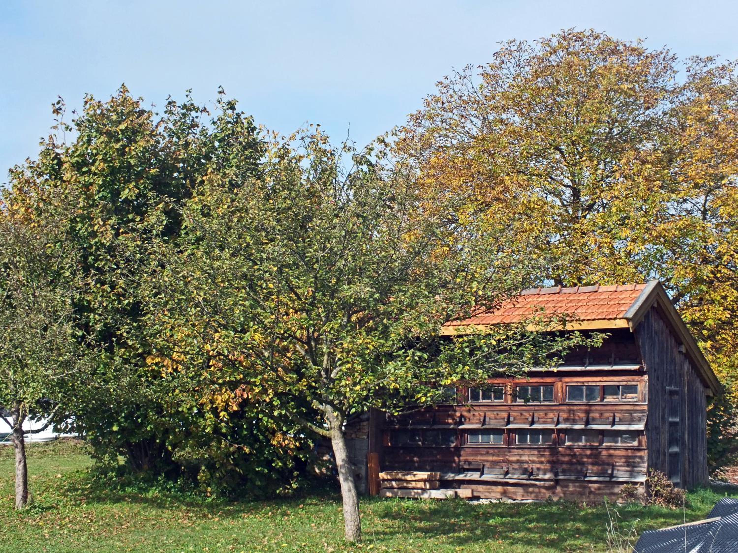 Beim Bicher