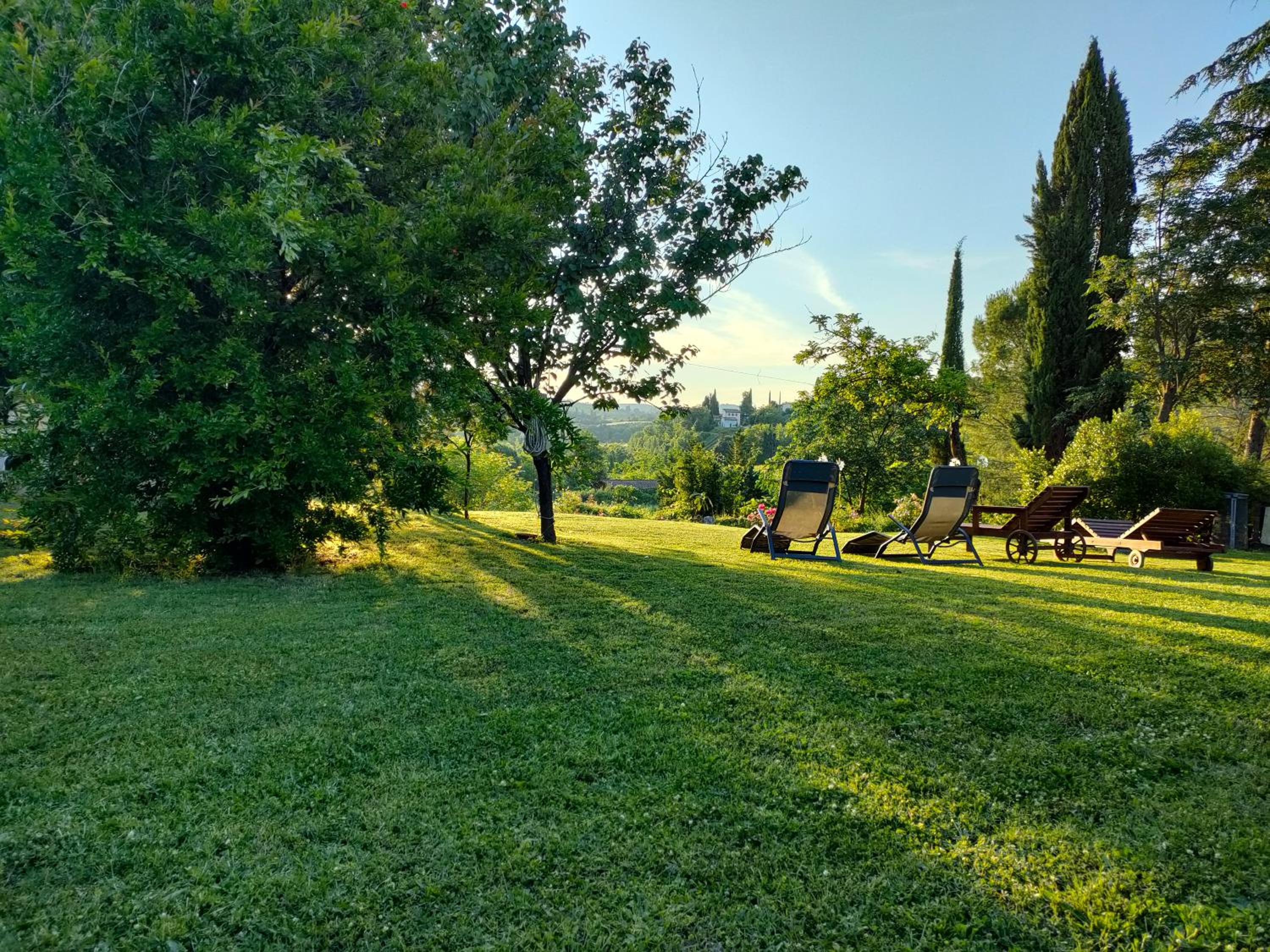Azienda Agricola Polveraia view 4