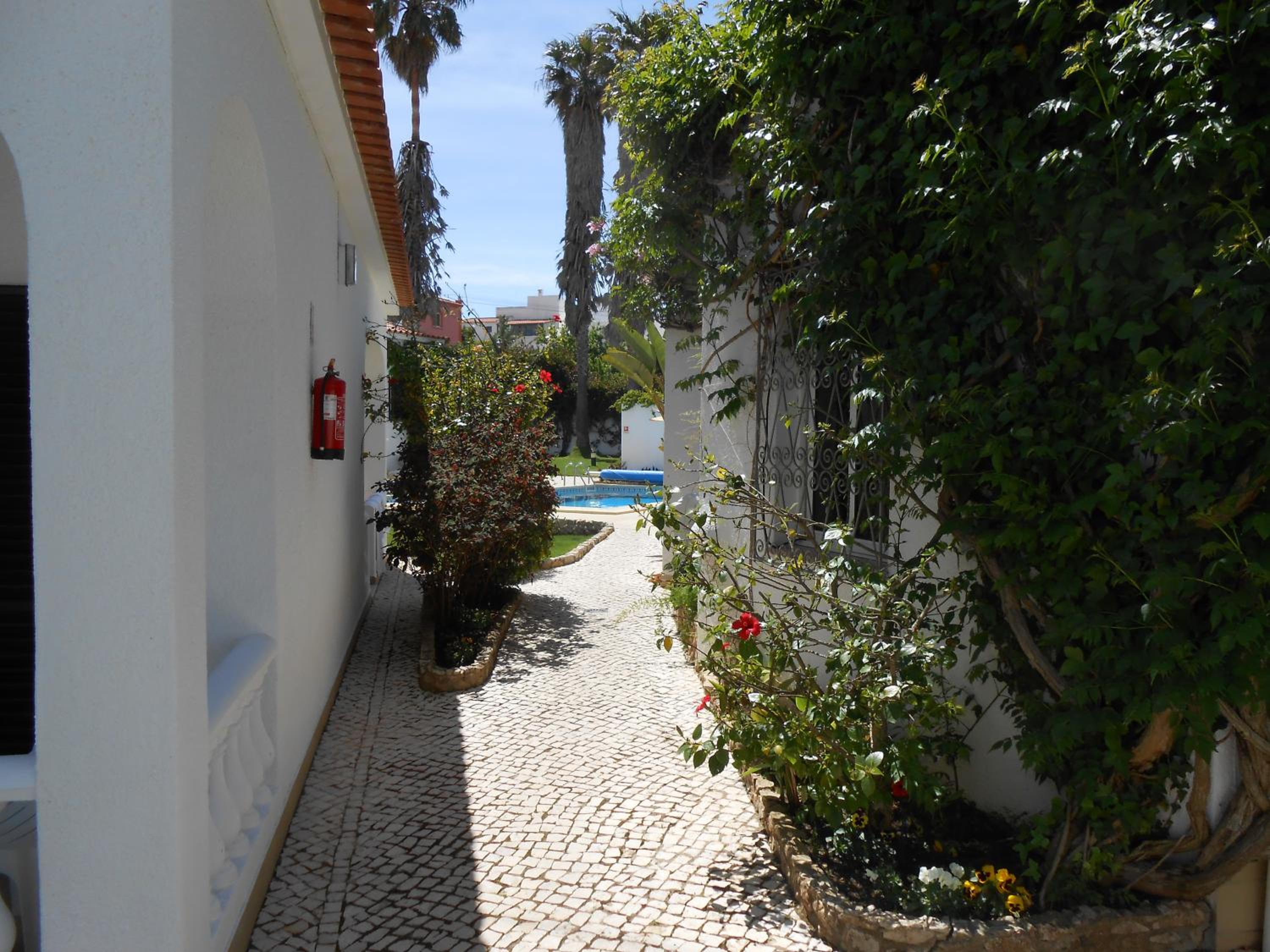Photo 42