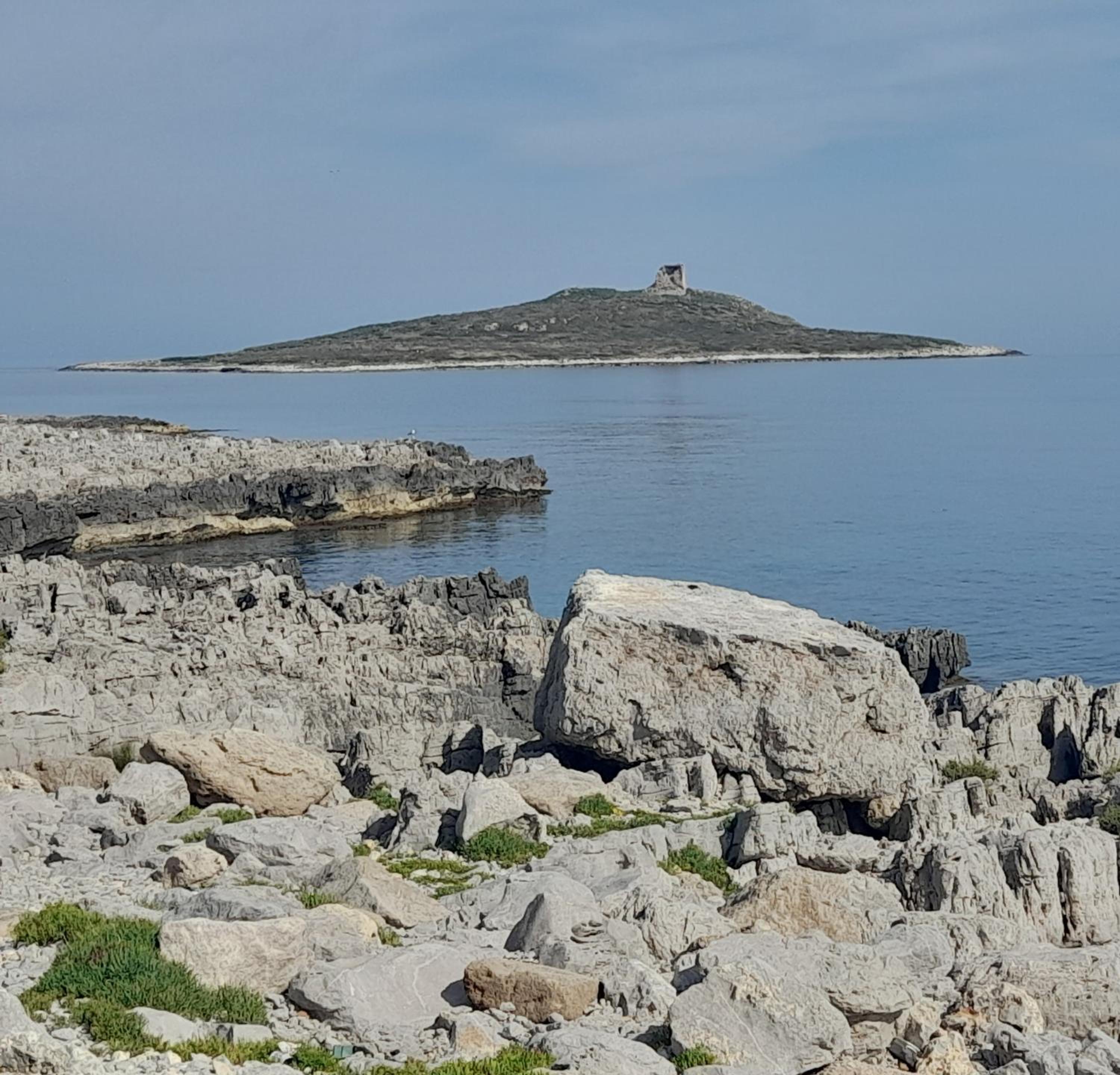 Casa Vacanze Ciccinè