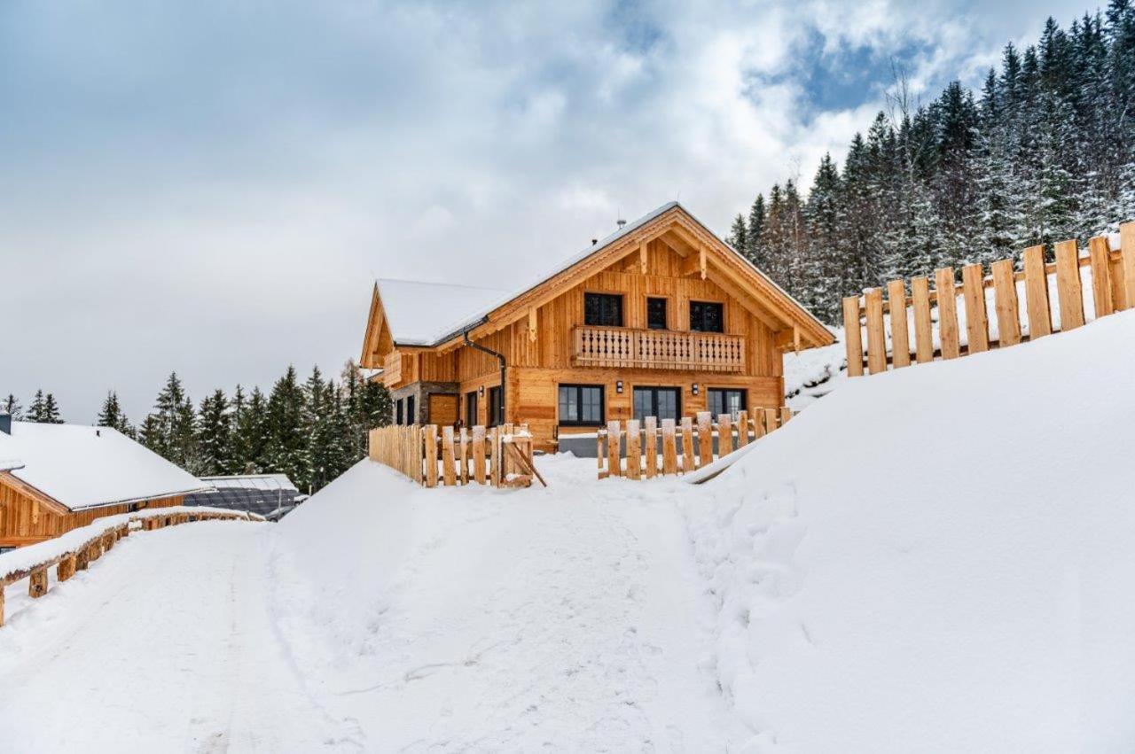 Poolchalet Dachsteinblick