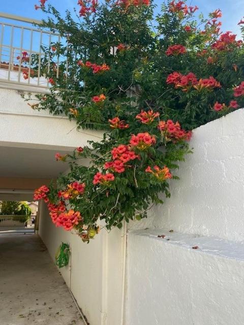 Spata Lykourgos Homes