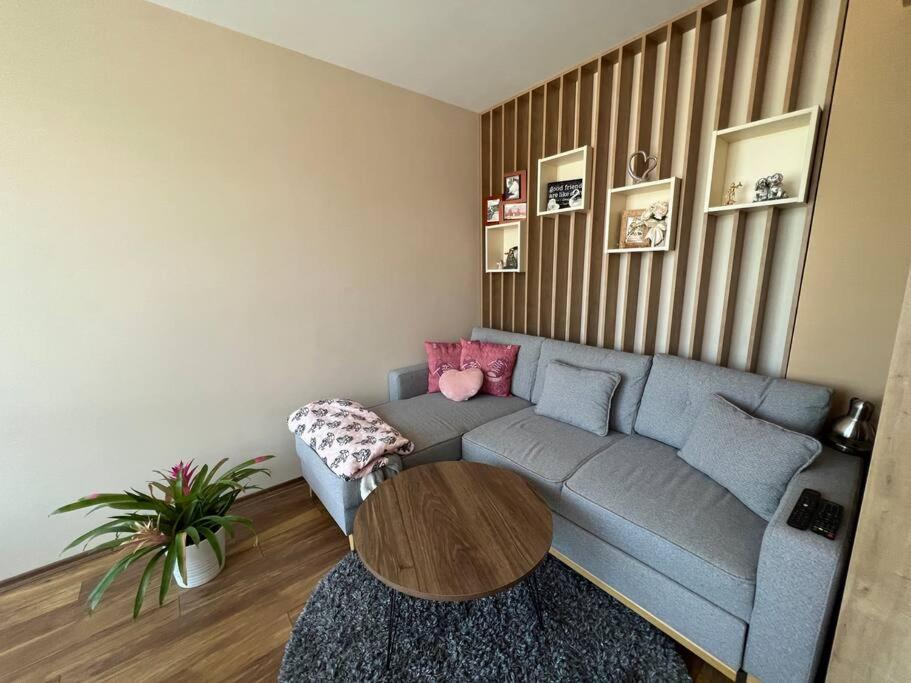 Cozy and bright apartment