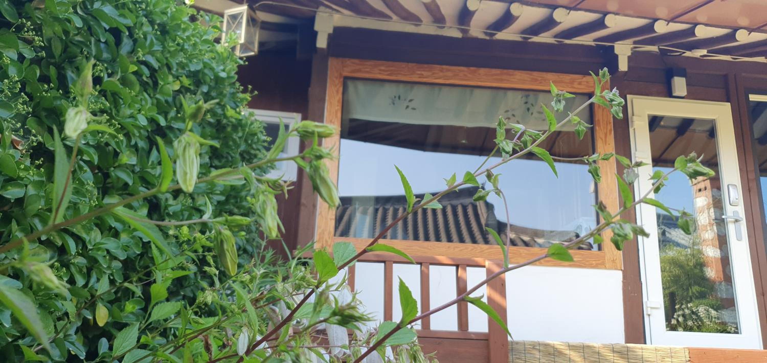 Jahayeon Hanokstay