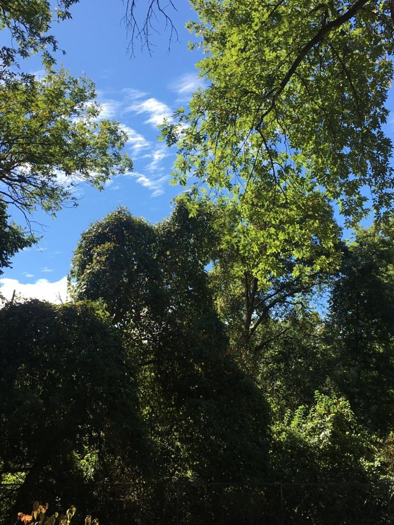 Crixdale, fotografía 2