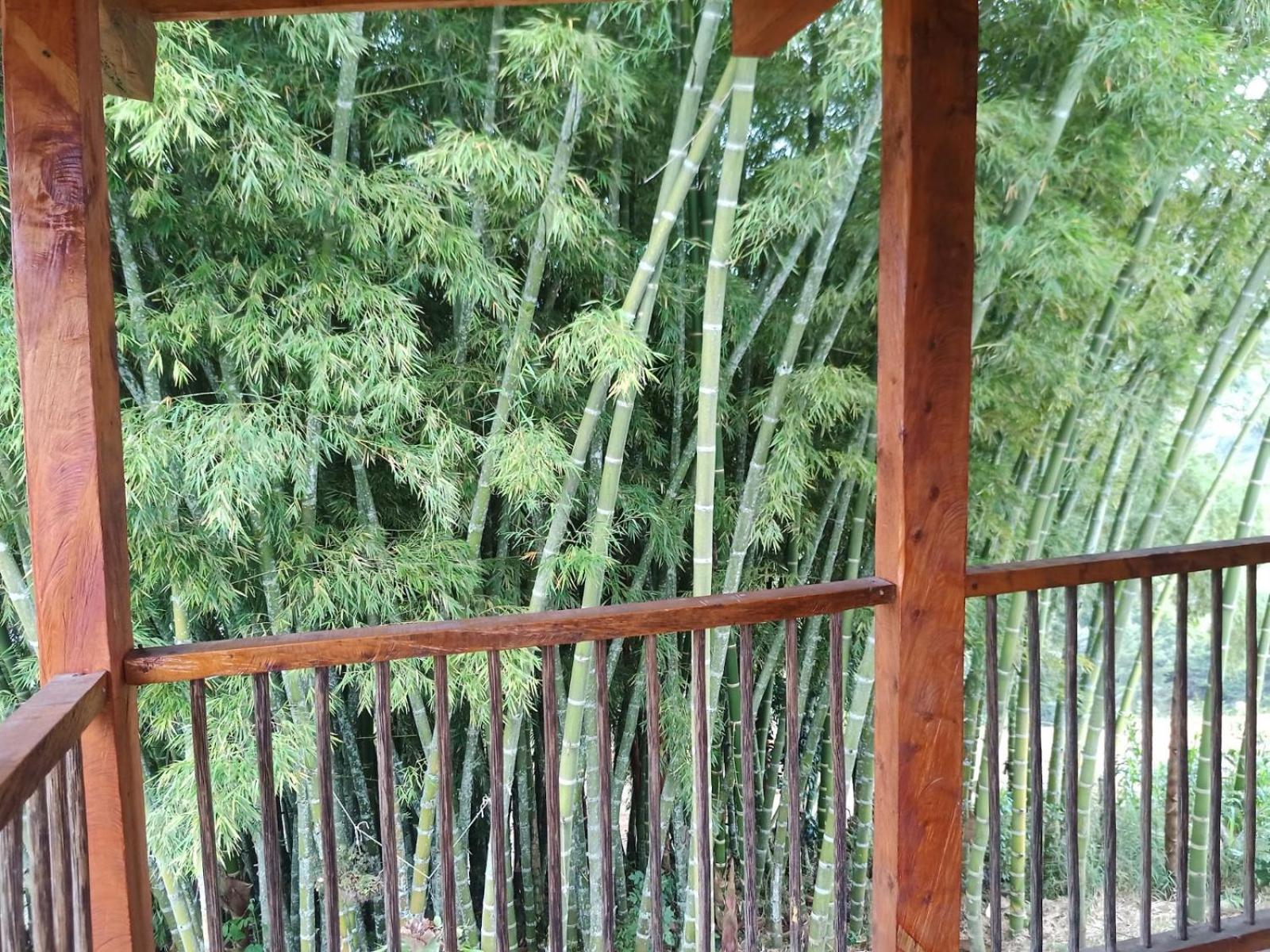 Glamping IKIGAI