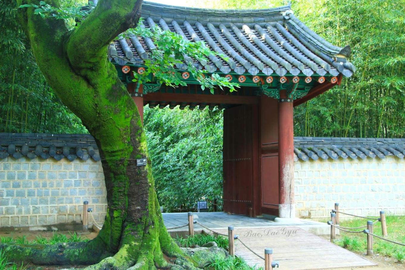 Jahayeon Hanokstay