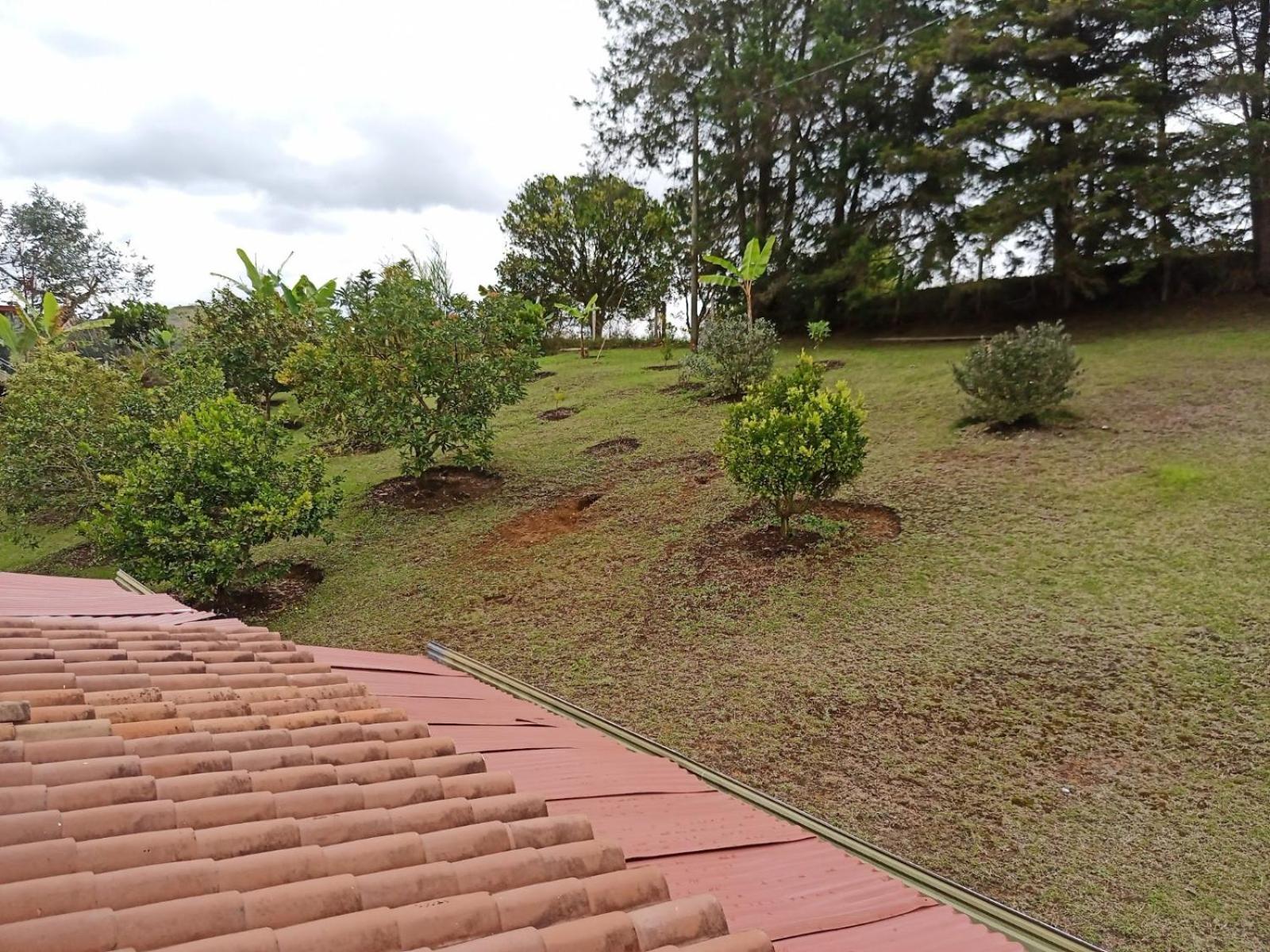 Finca Alejandria (Condominio la Chiquita)