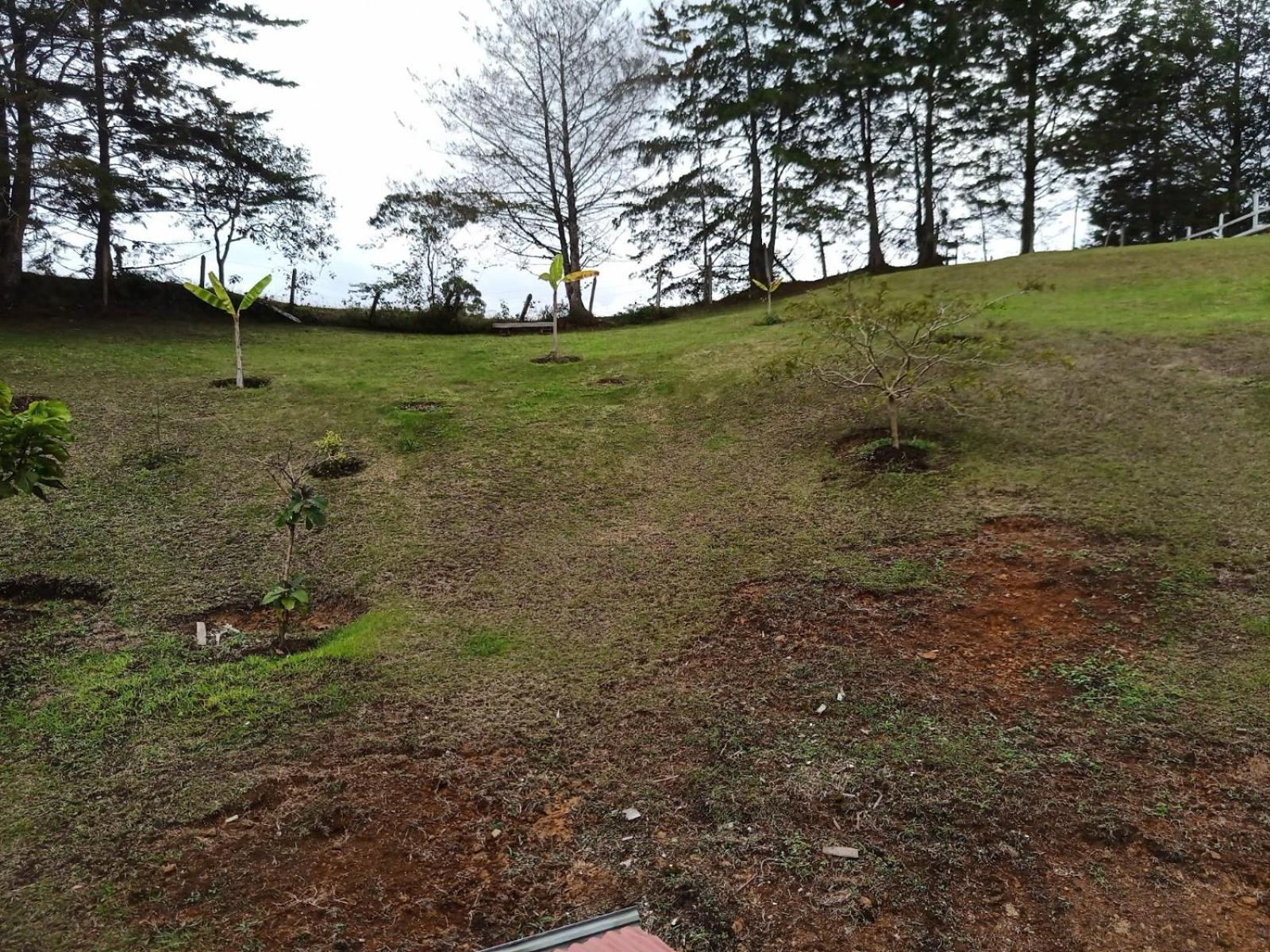 Finca Alejandria (Condominio la Chiquita)