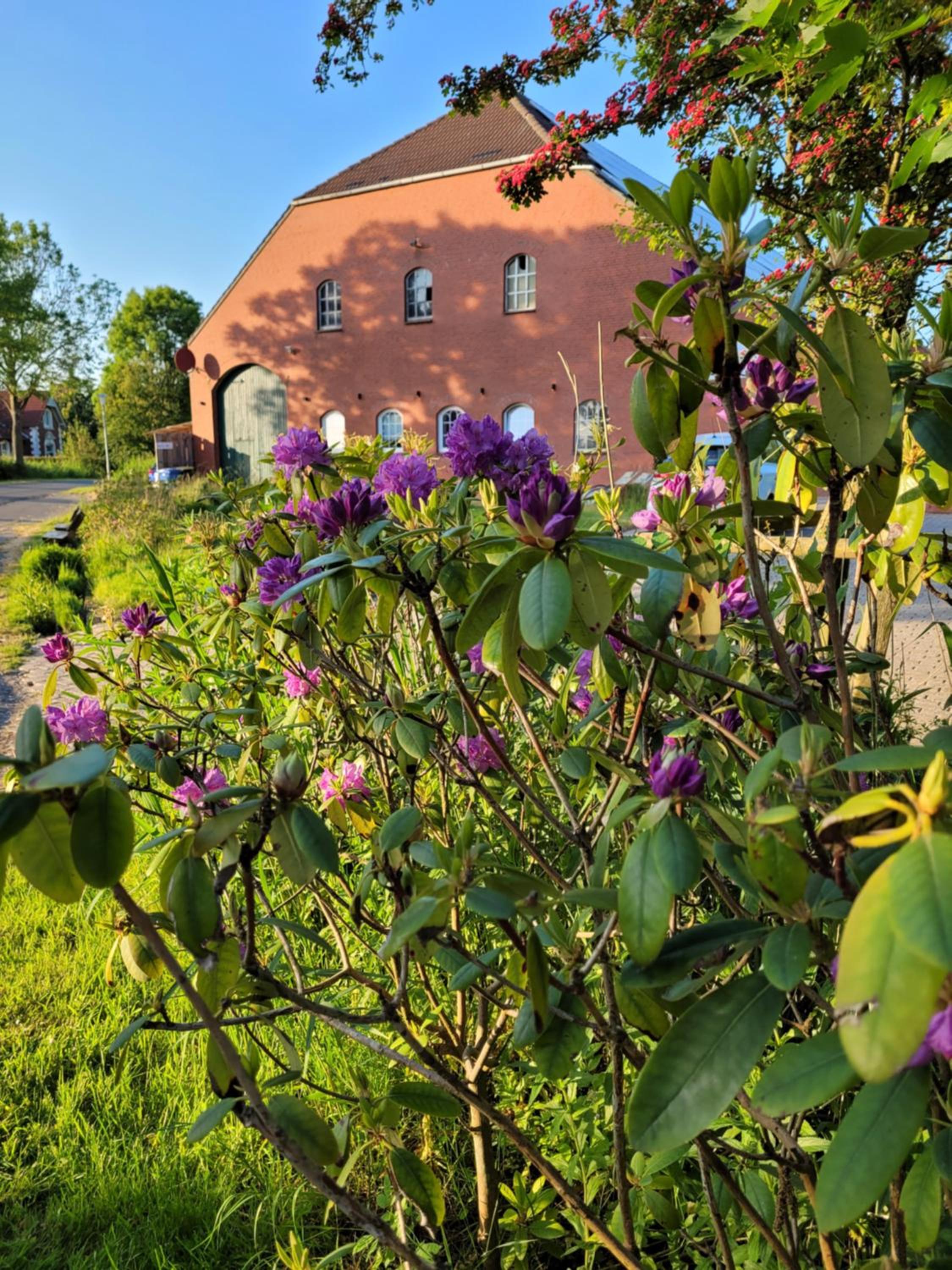 Gulfhof Anelis